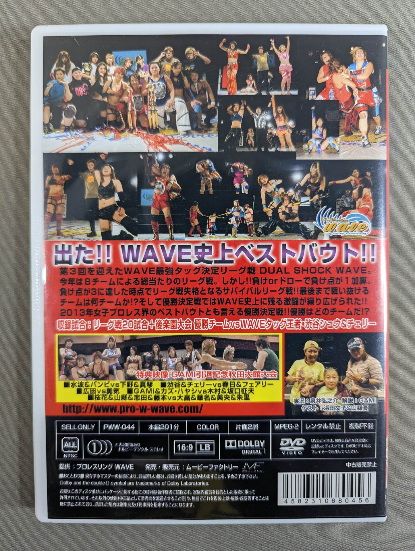 プロレスリングWAVE 最強タッグ決定リーグ戦 DUAL SHOCK WAVE 2013