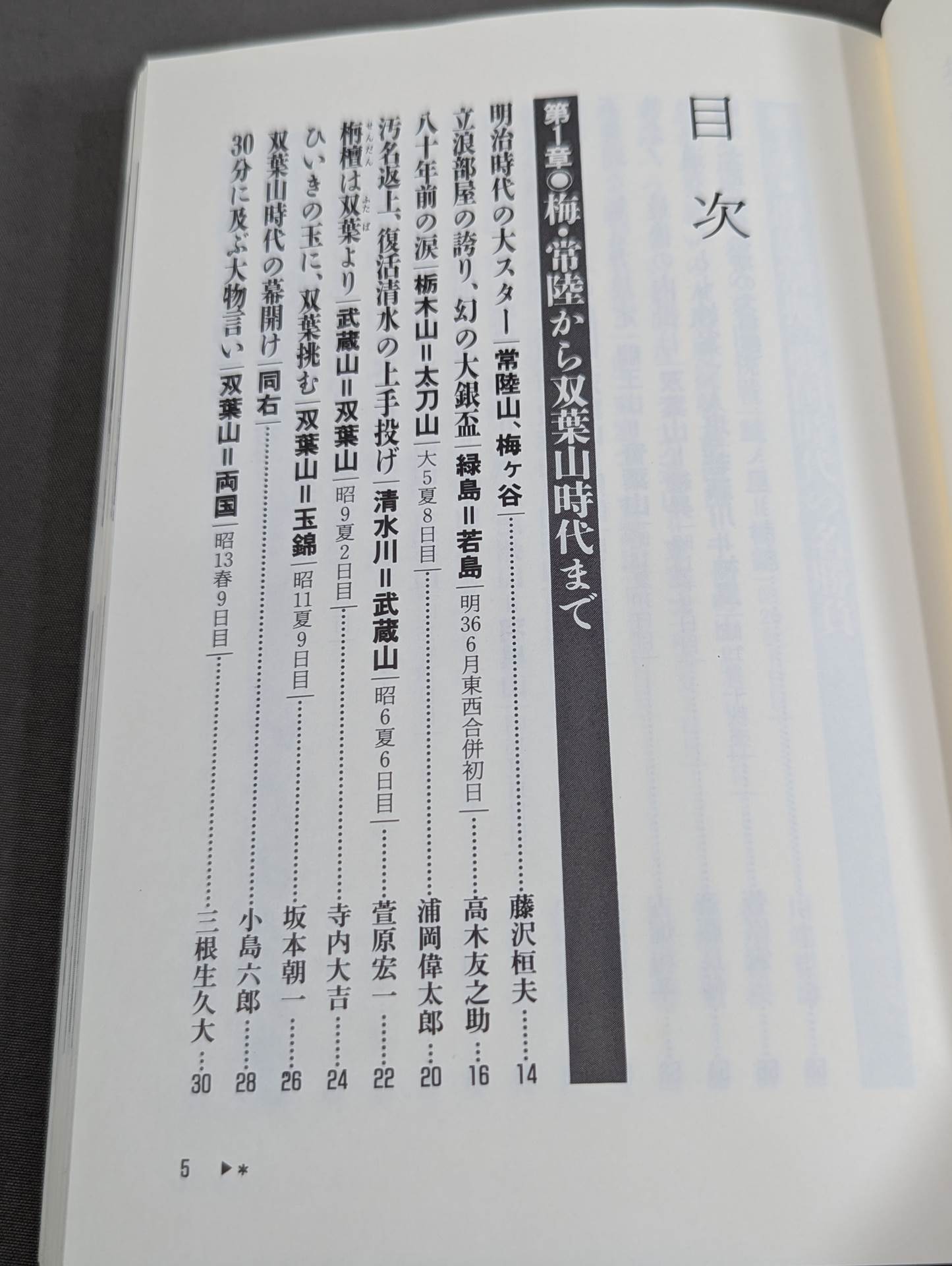 大相撲この一番 ”通”が選ぶ思い出の名勝負