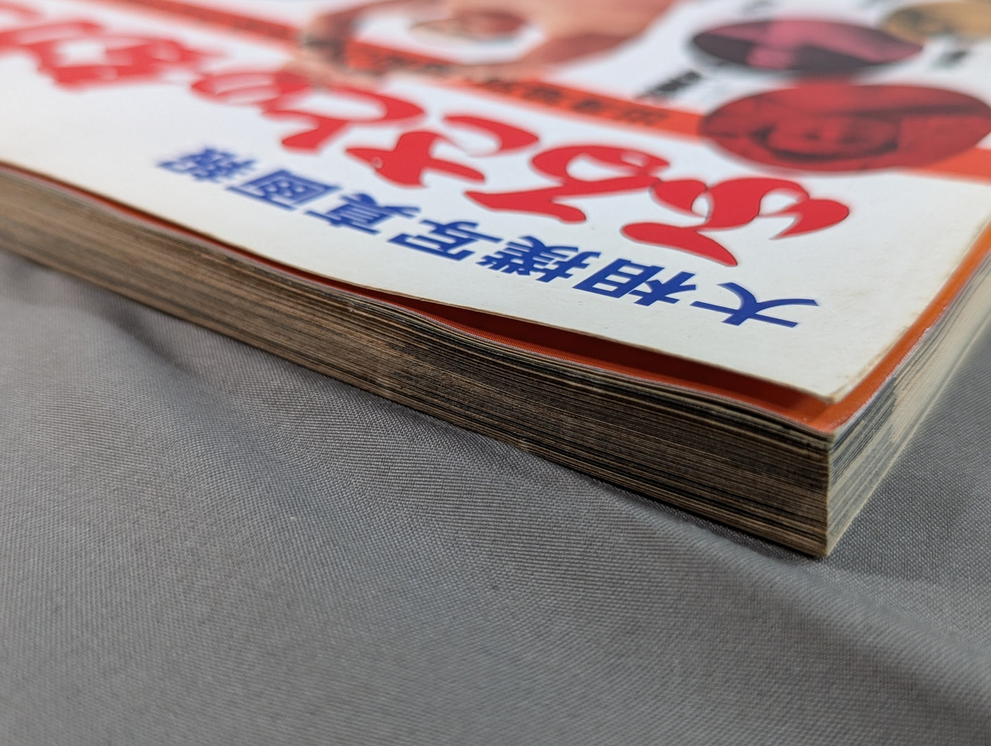 Grand Sumo photo pictorial: Hometown's famous Sumo wrestler