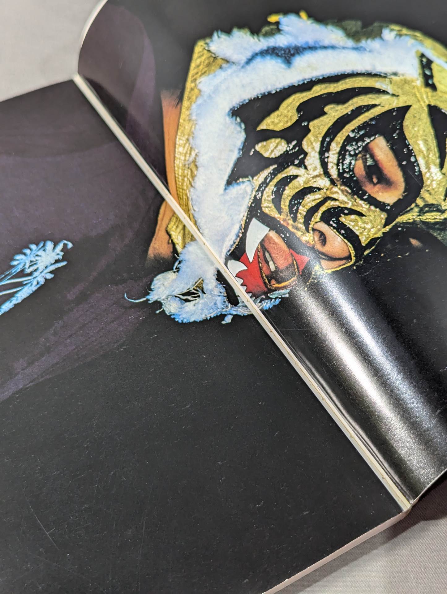 Tiger Mask photo collection TV Asahi Golden Album