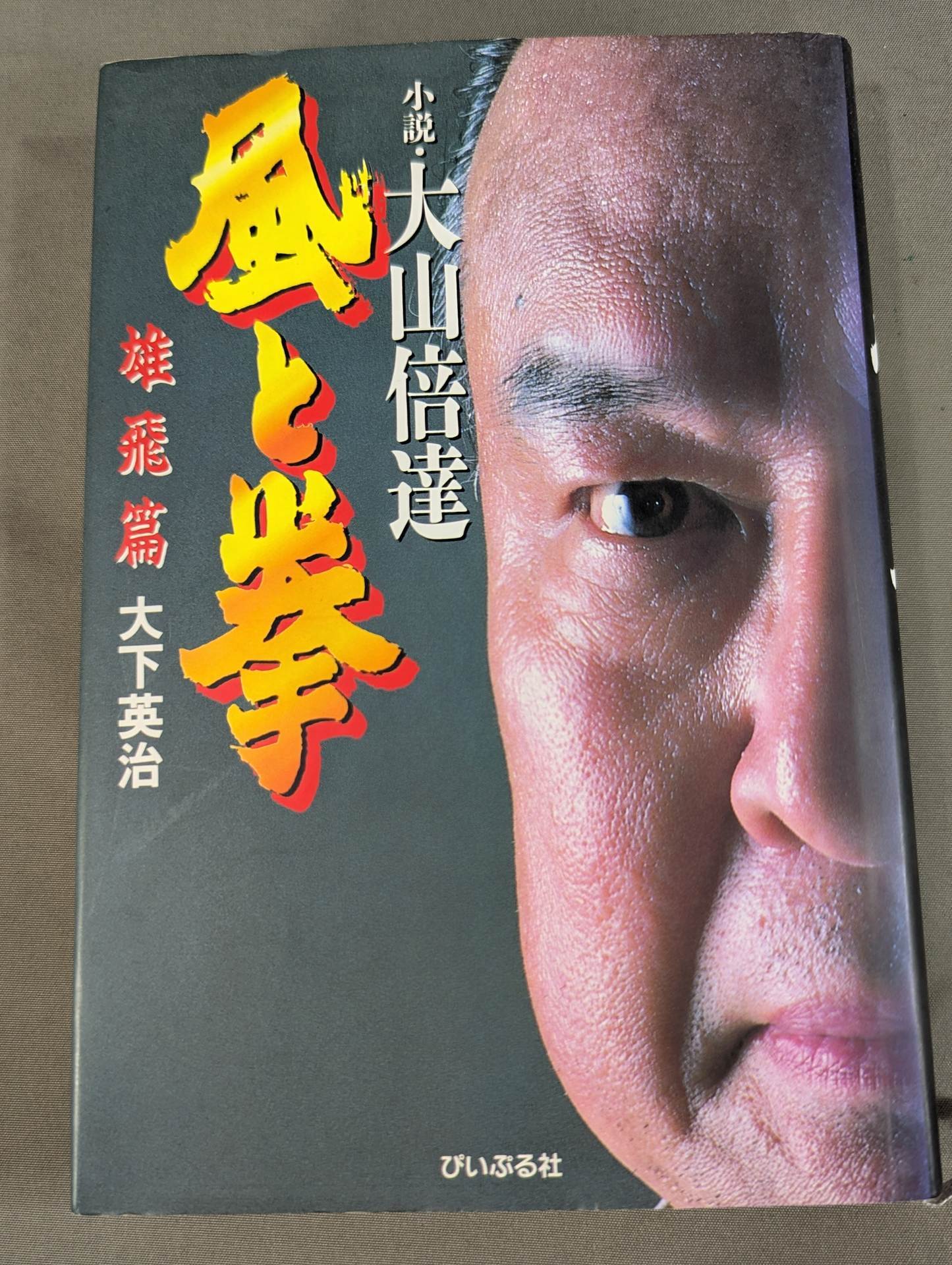 小説・大山倍達 風と拳 雄飛篇 – 闘道館