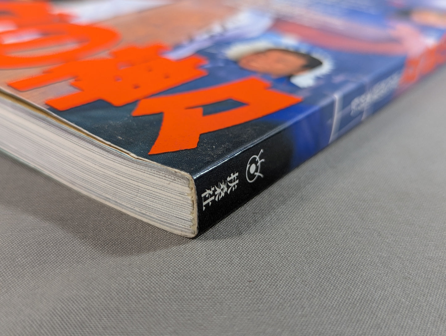 Fight! Gods of the Ring: Biographies of Modern Martial Artists