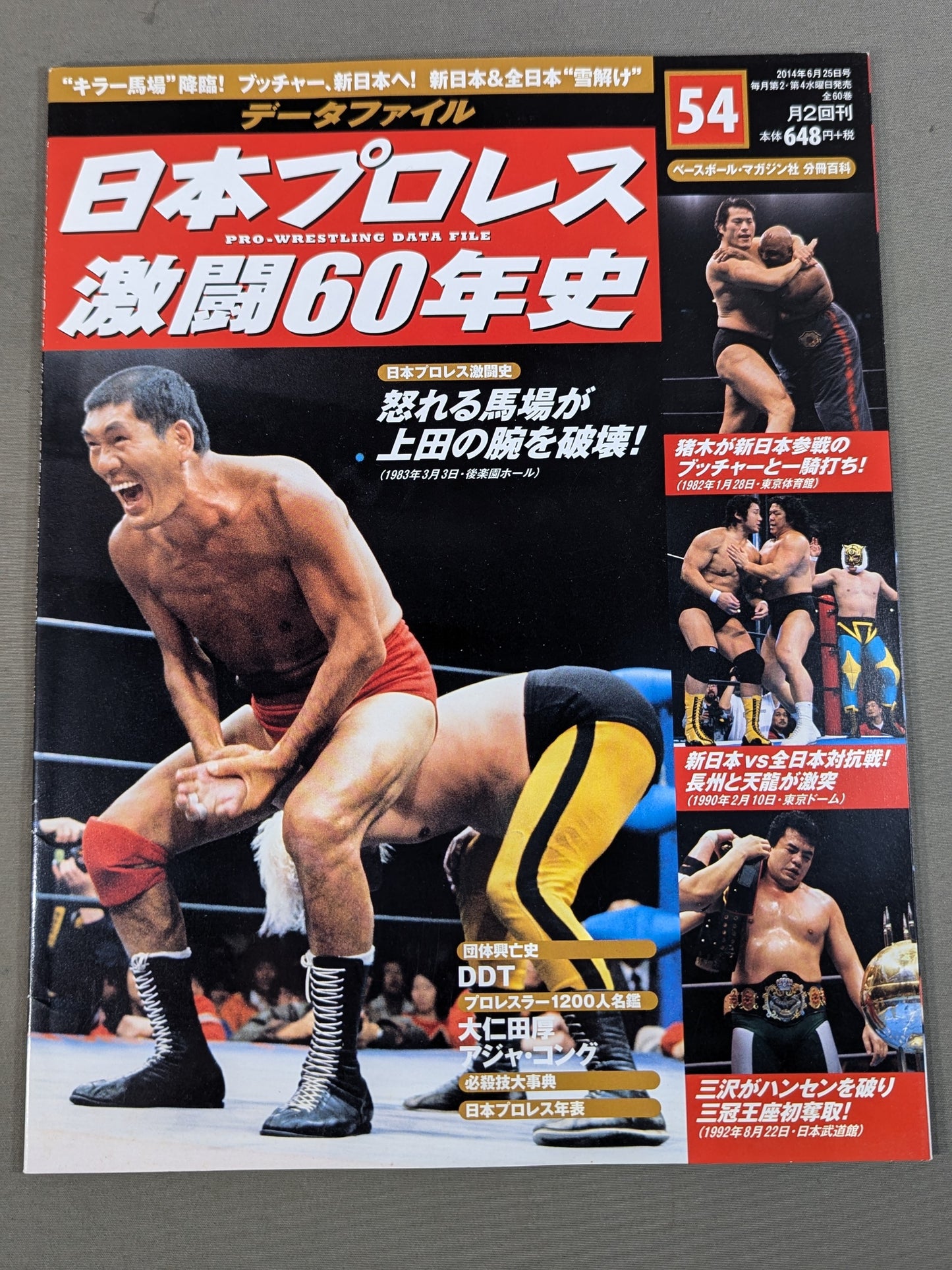 60 Years of Japan Pro Wrestling (54)