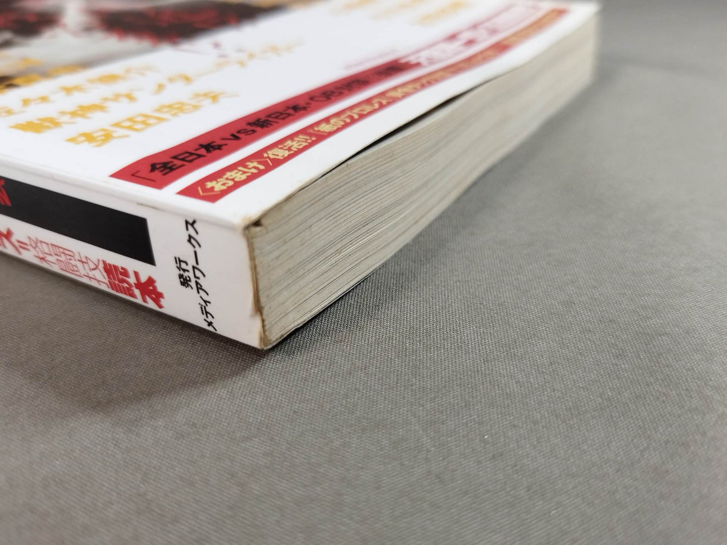 Cross Game All Japan×New Japan Pro Wrestling Wind and Cloud Pro Wrestling = Martial Arts Reading Book