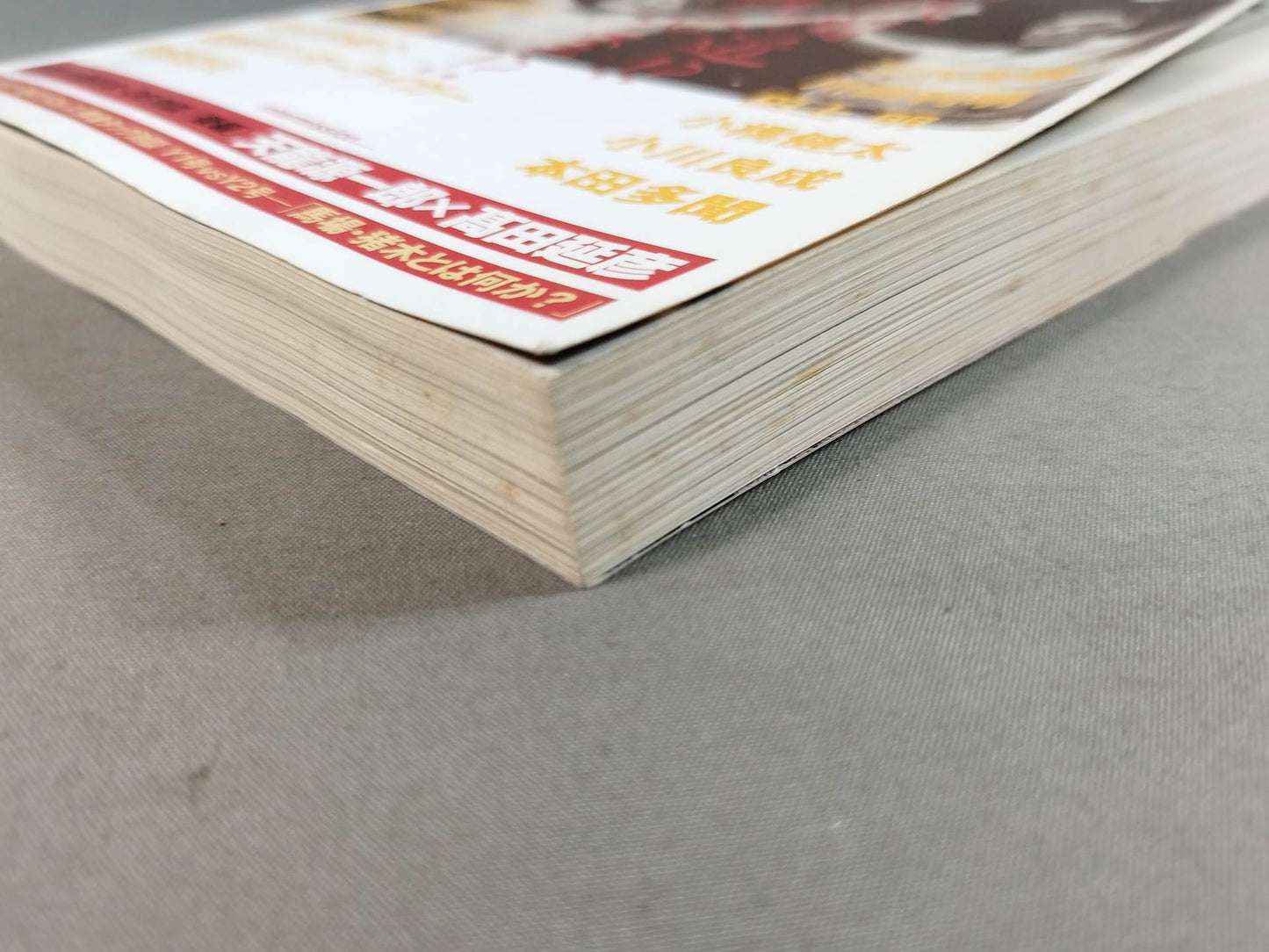 Cross Game All Japan×New Japan Pro Wrestling Wind and Cloud Pro Wrestling = Martial Arts Reading Book