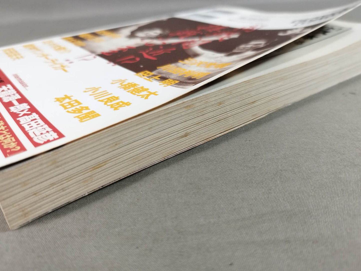 Cross Game All Japan×New Japan Pro Wrestling Wind and Cloud Pro Wrestling = Martial Arts Reading Book