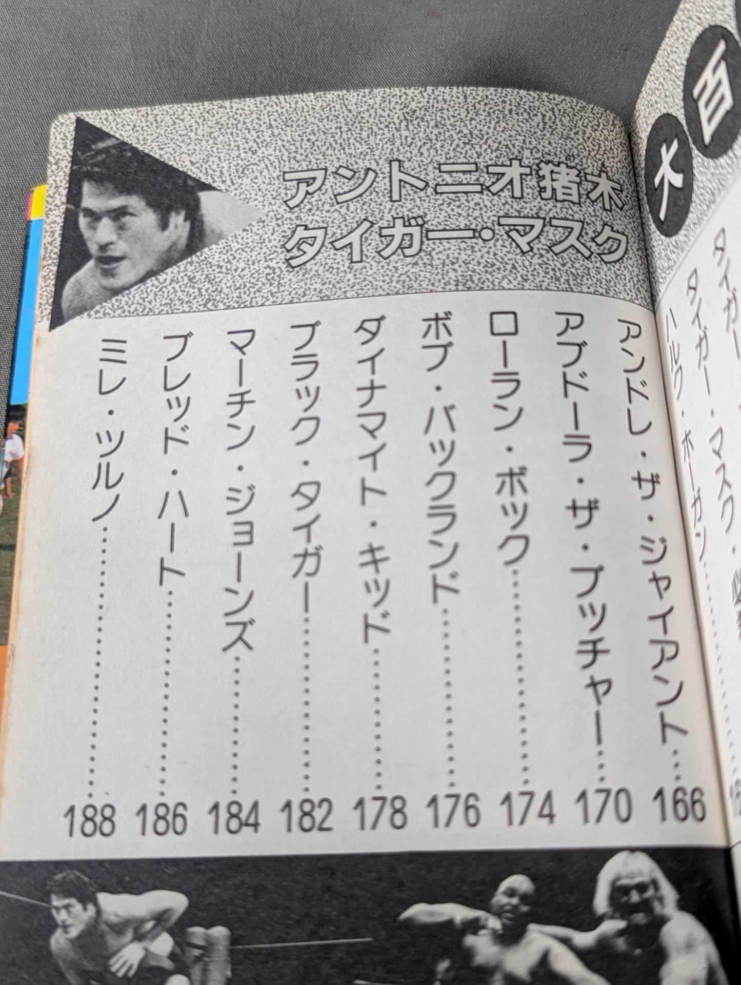 Antonio Inoki Tiger Mask Encyclopedia