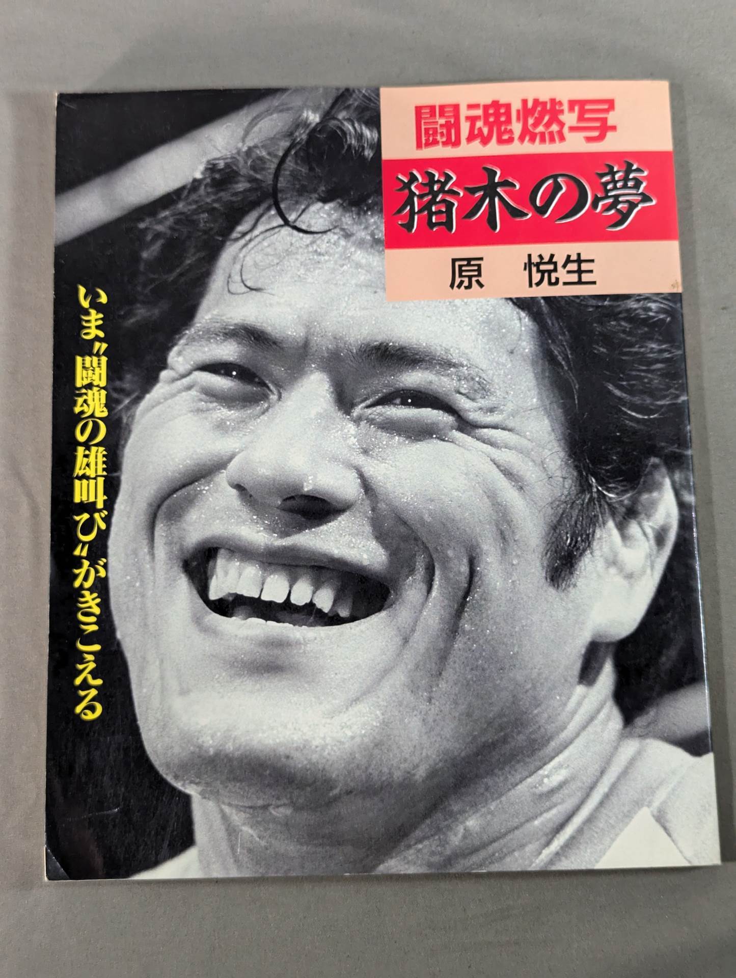 Fighting spirit burning Inoki 's dream
