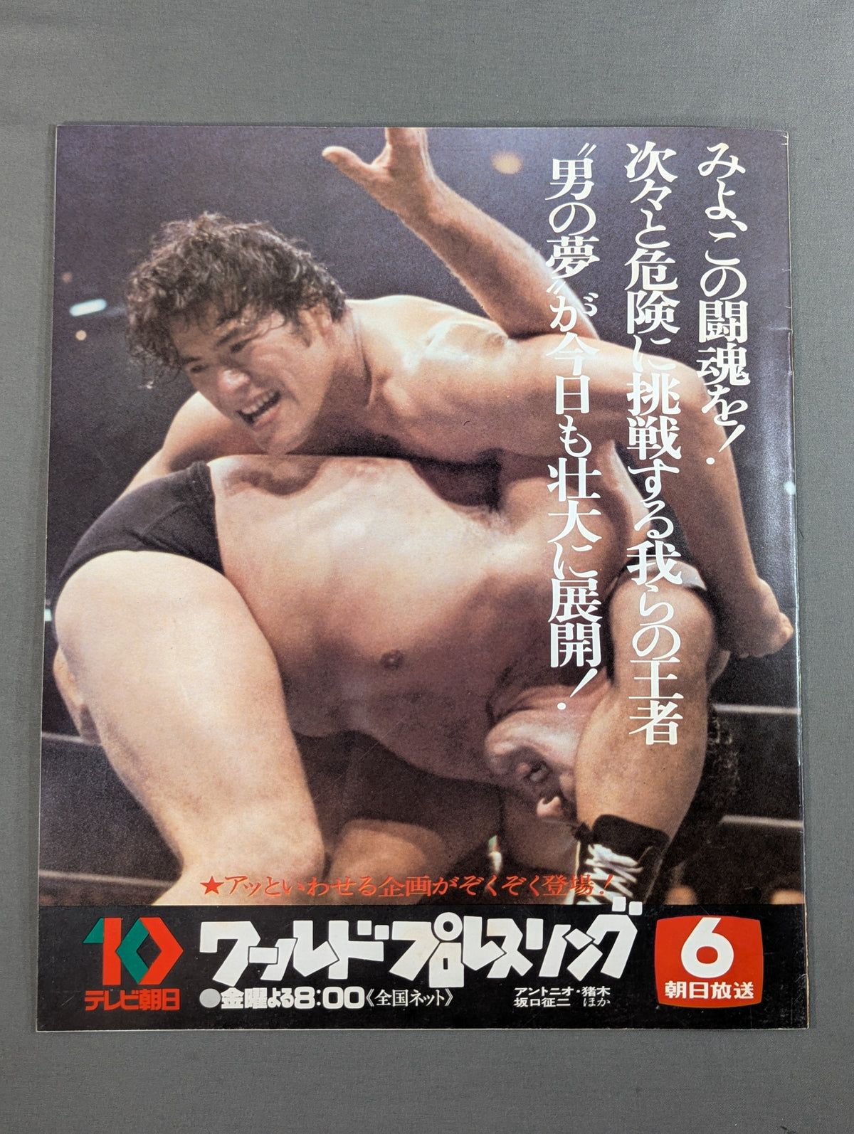 79 Big Fight Series