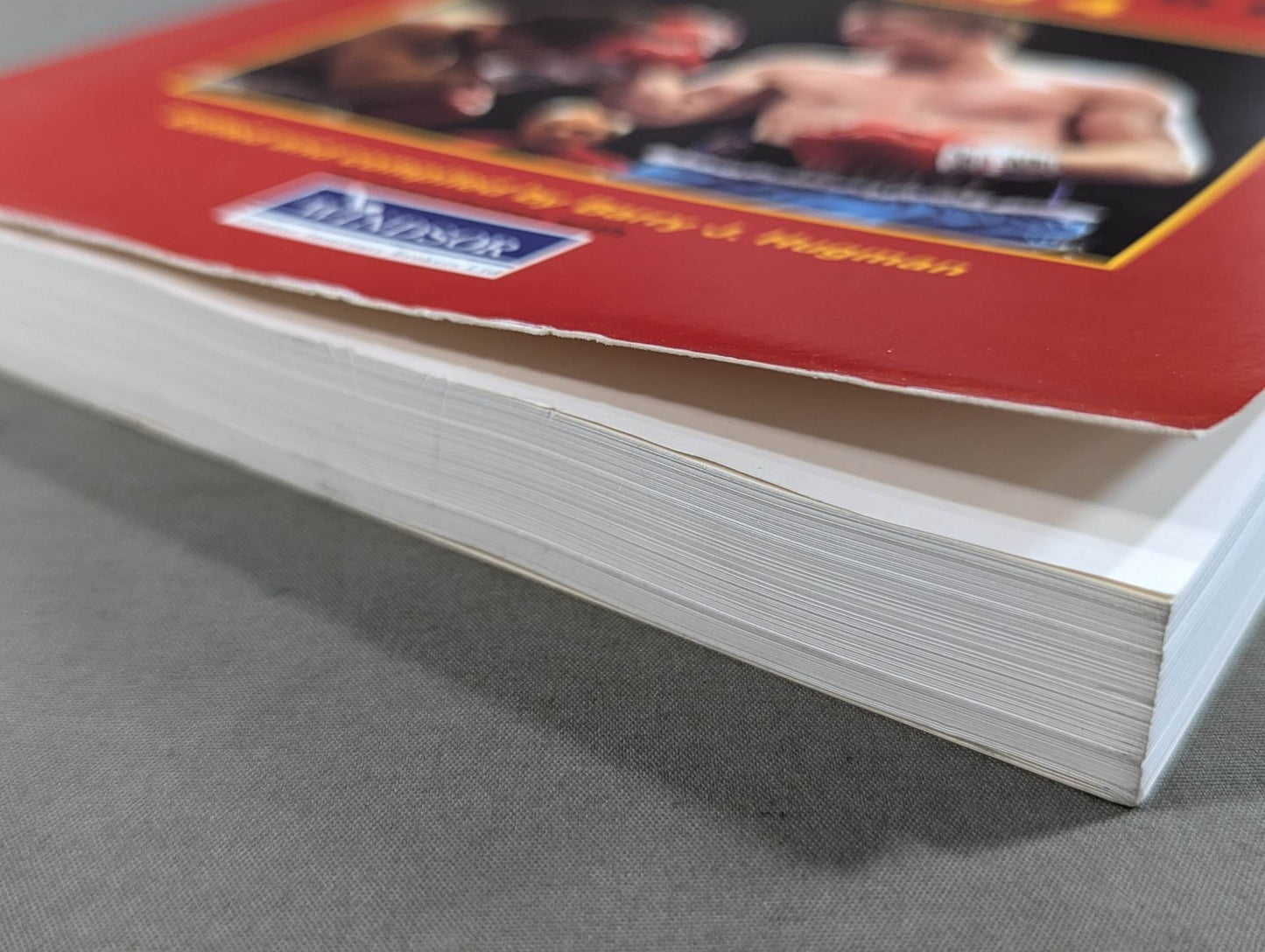 The British Boxing Board of Control Yearbook 2004