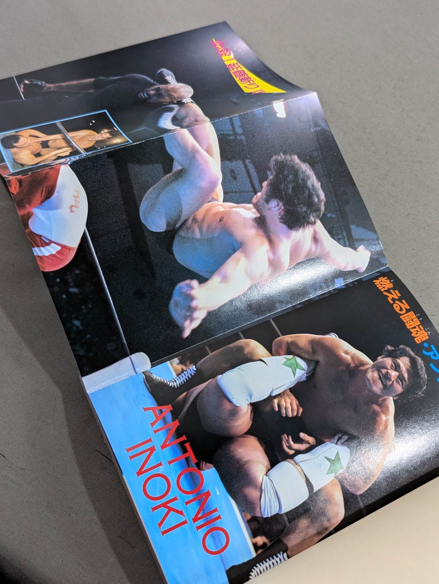 Antonio Inoki Ultra Encyclopedia