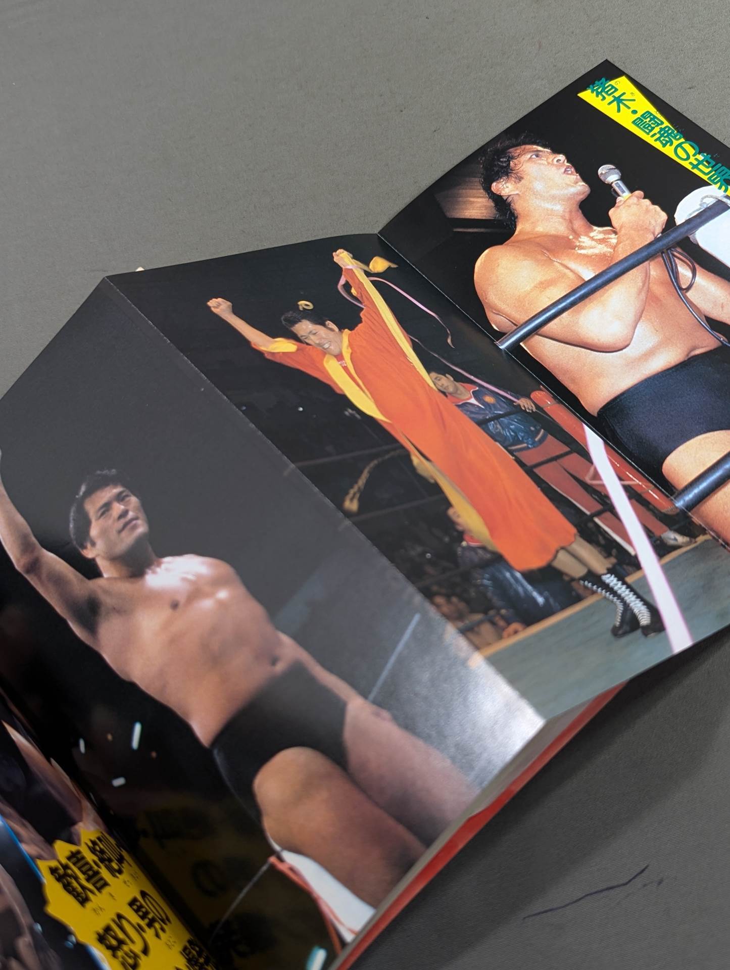 Antonio Inoki Ultra Encyclopedia