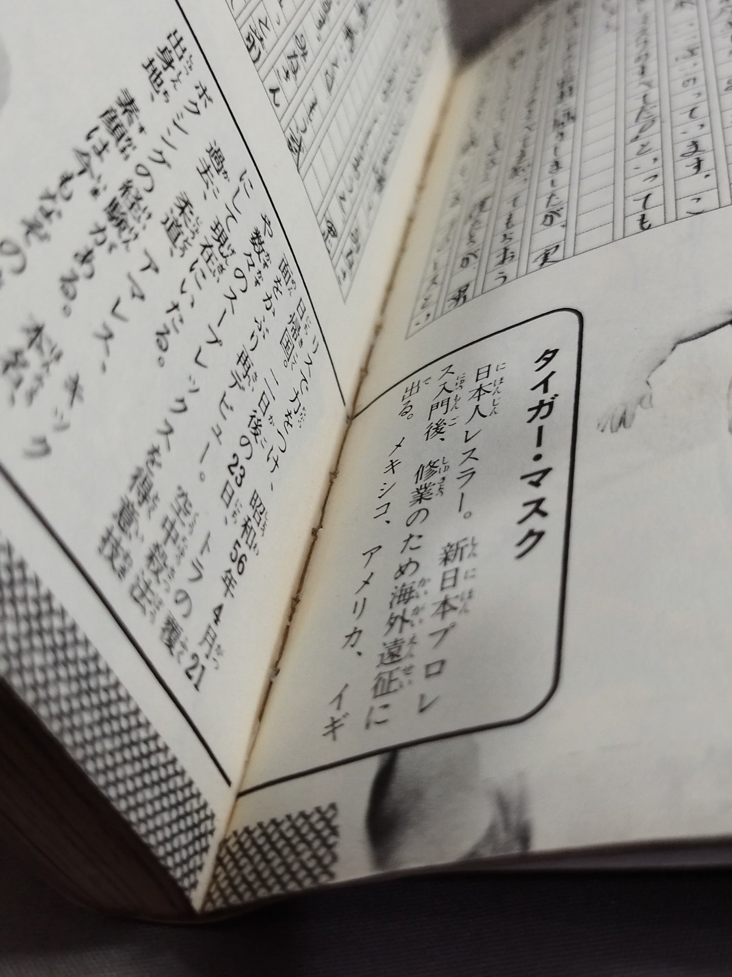 Chronicle Manga Tiger Mask Idol Comics