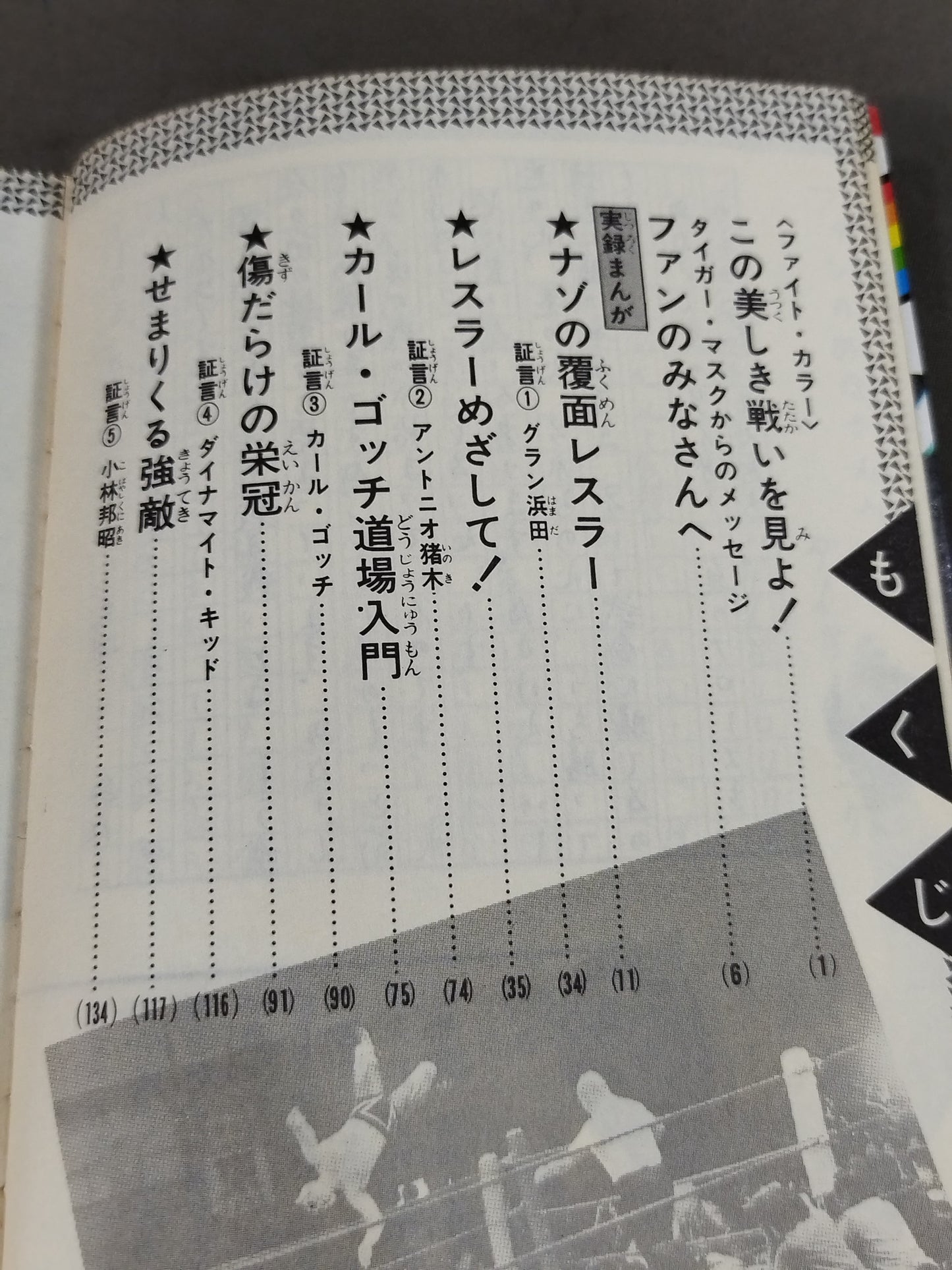 Chronicle Manga Tiger Mask Idol Comics