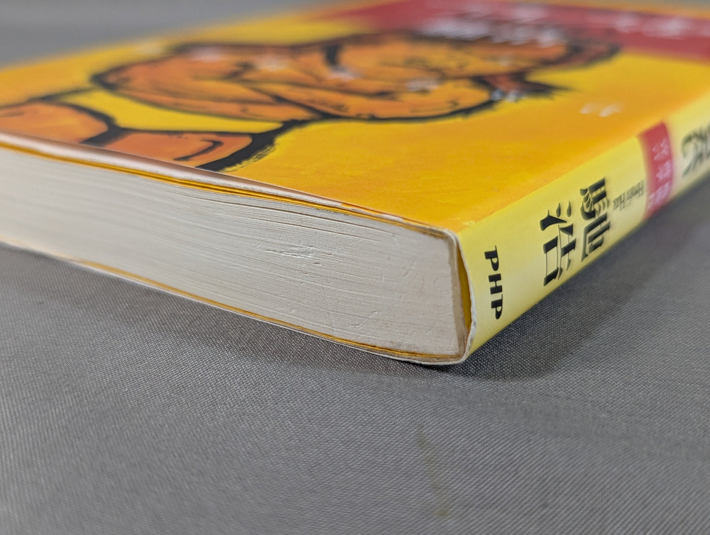 You Don't Know Pro Wrestling Martial Arts Philosophy Manifesto