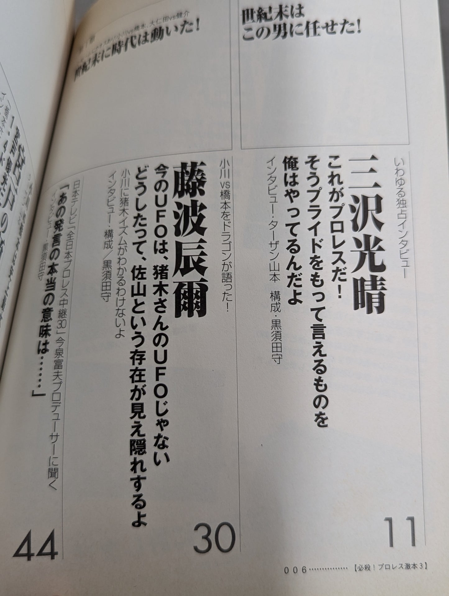 Deadly! Pro Wrestling Gekimoto 3 1.4 Tokyo Dome, The Truth About the "End of the Century"
