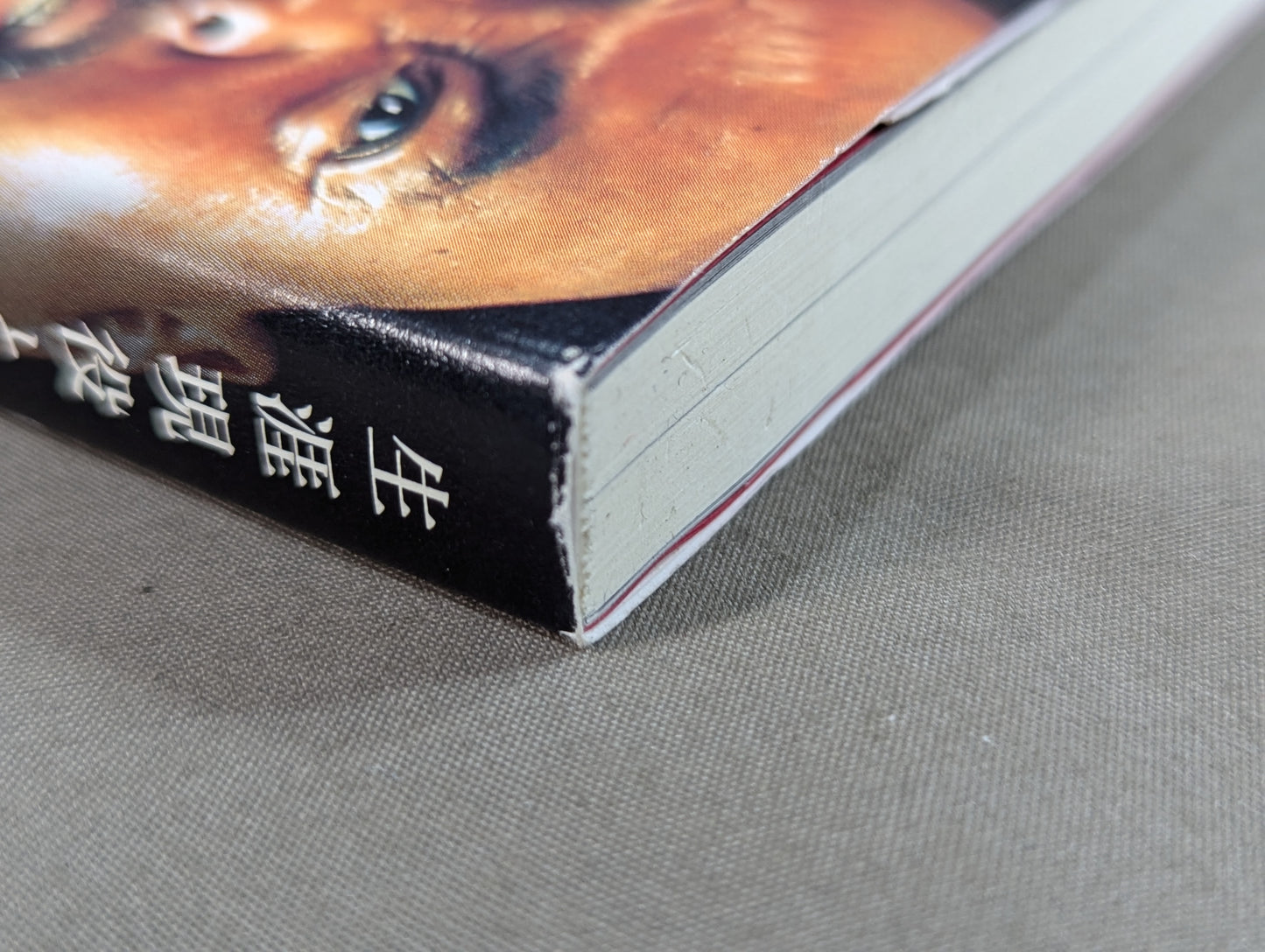 生涯現役という生き方
