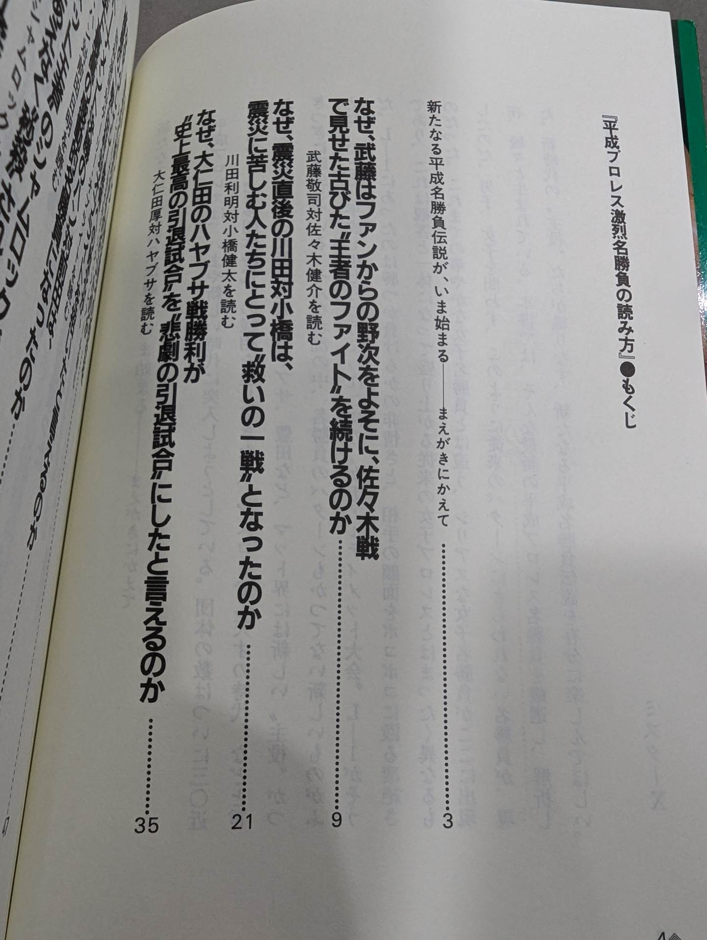 Pocket Book 95 Heisei Pro Wrestling How to Read Fierce Famous Matches