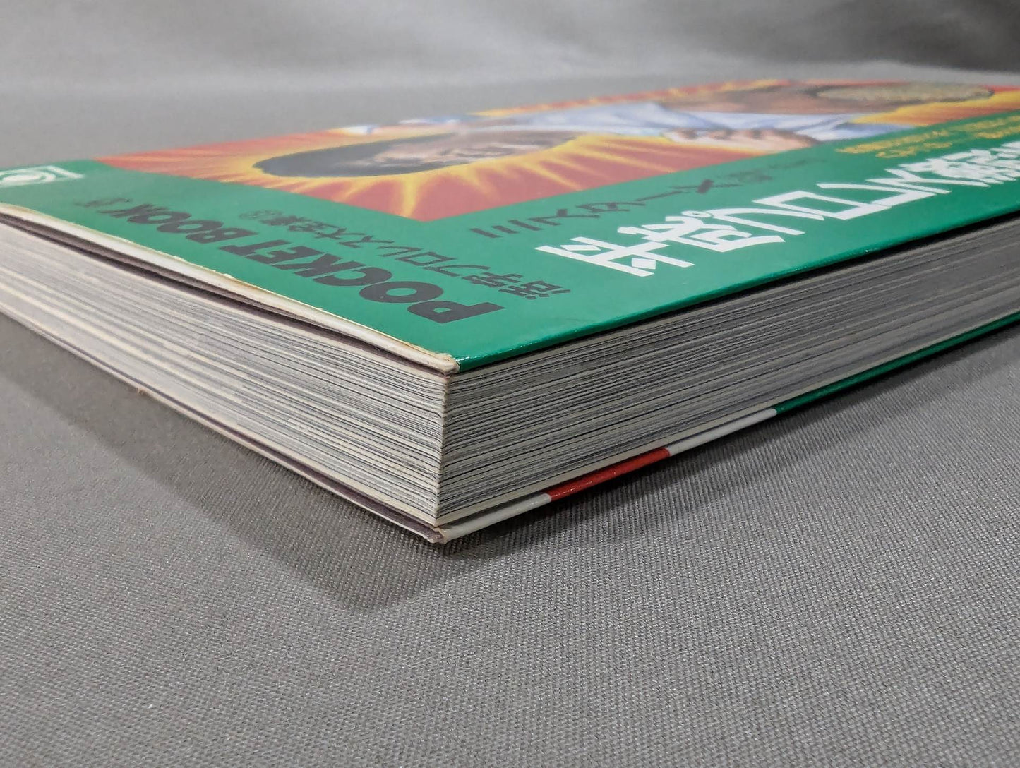 ポケットブック95 平成プロレス激烈名勝負の読み方