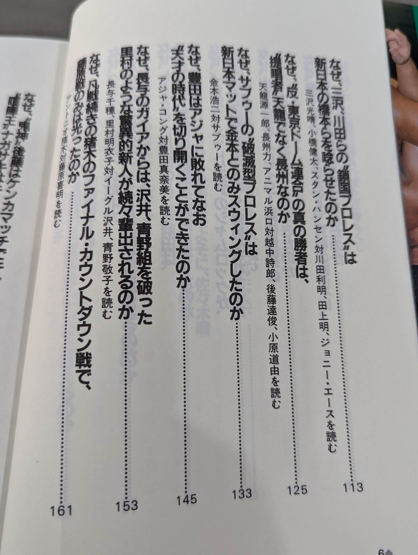 Pocket Book 95 Heisei Pro Wrestling How to Read Fierce Famous Matches