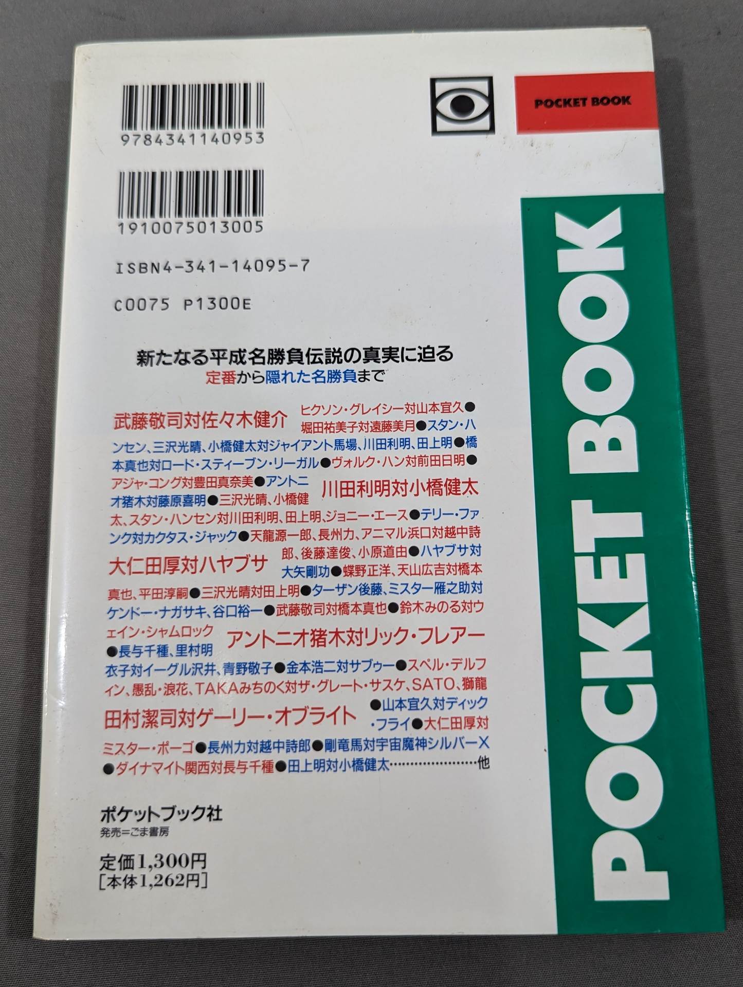 Pocket Book 95 Heisei Pro Wrestling How to Read Fierce Famous Matches