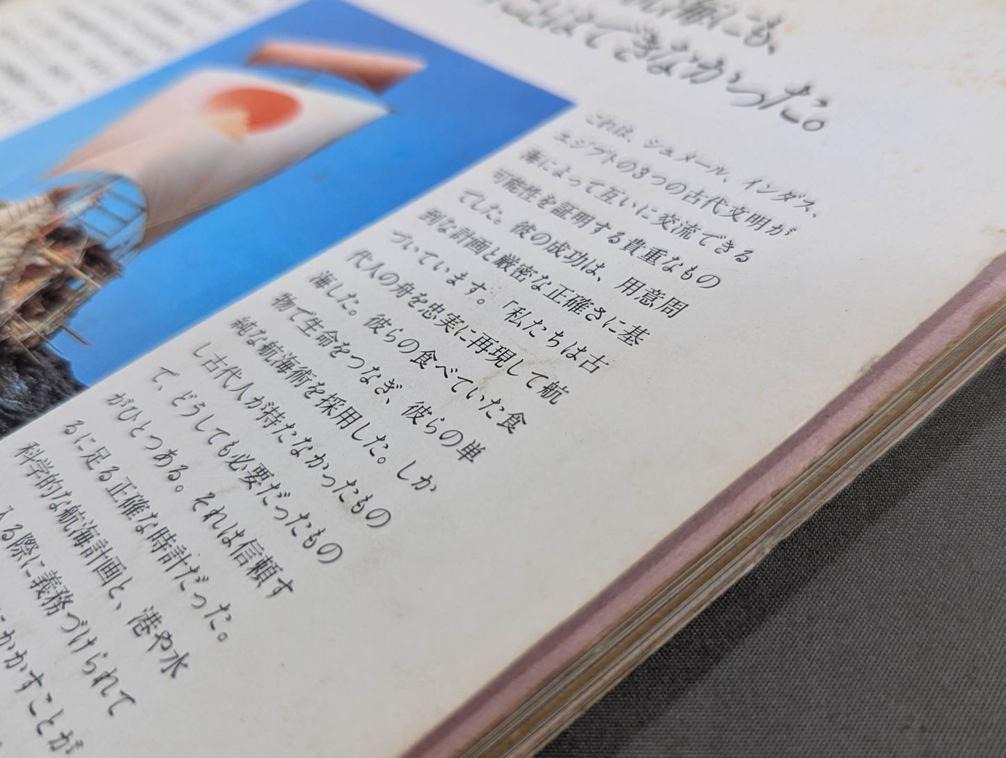 THE SUN '81/4 THE SUN no.217