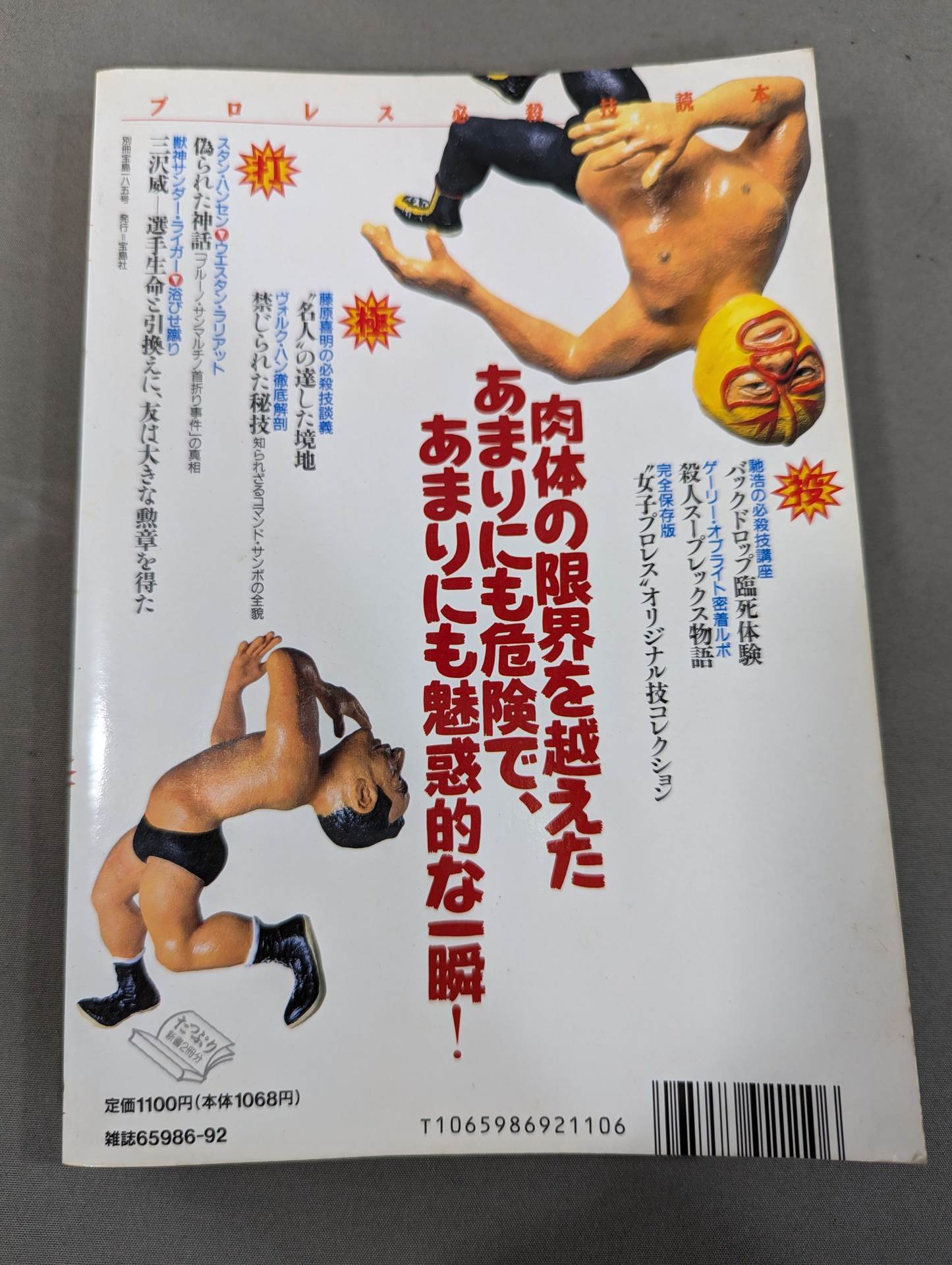 Separate volume Treasure Island 185 Pro Wrestling Special Move Reading Book Complete Preservation Edition Eternal Special Move 100