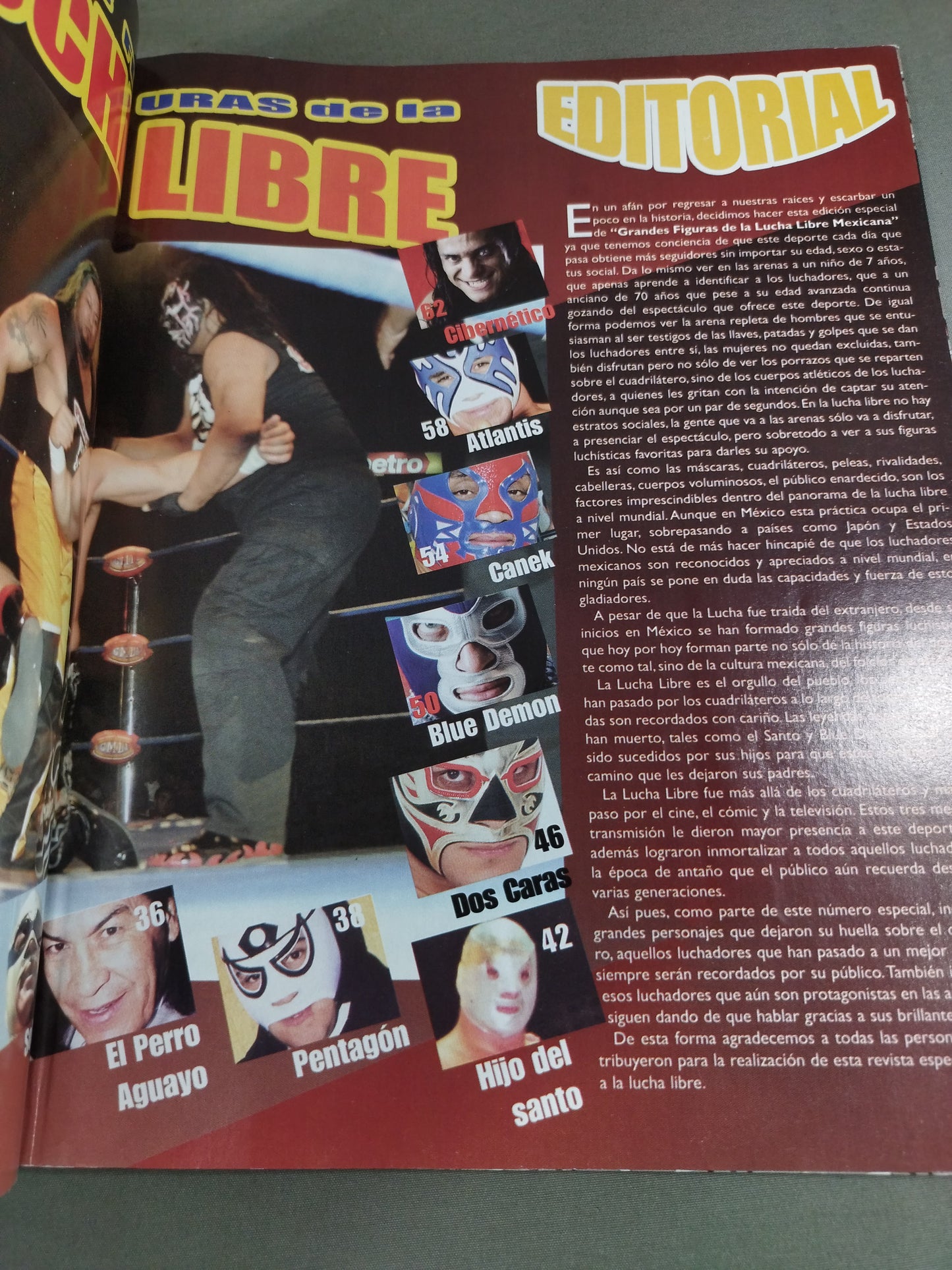 GRANDES FIGURAS DE LA LUCHA LIBRE NUMERO 37