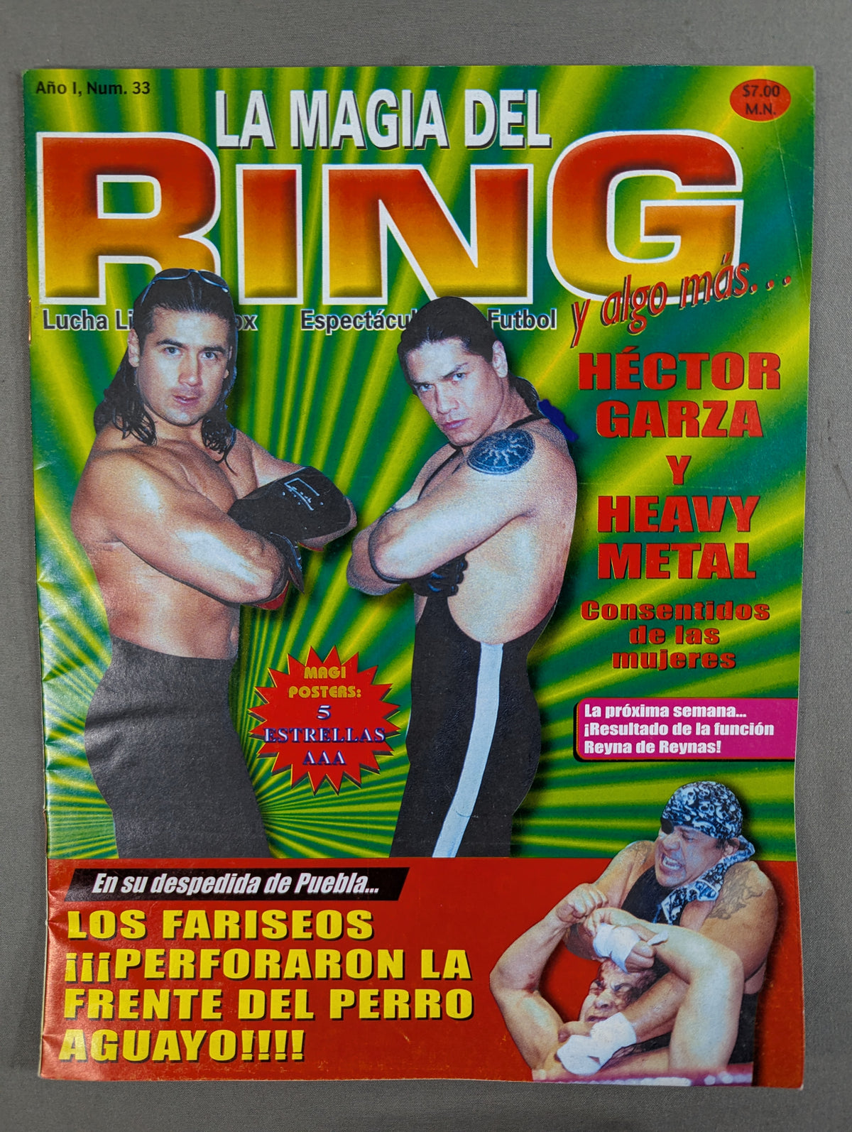 LA MAGIA DEL RING No.33