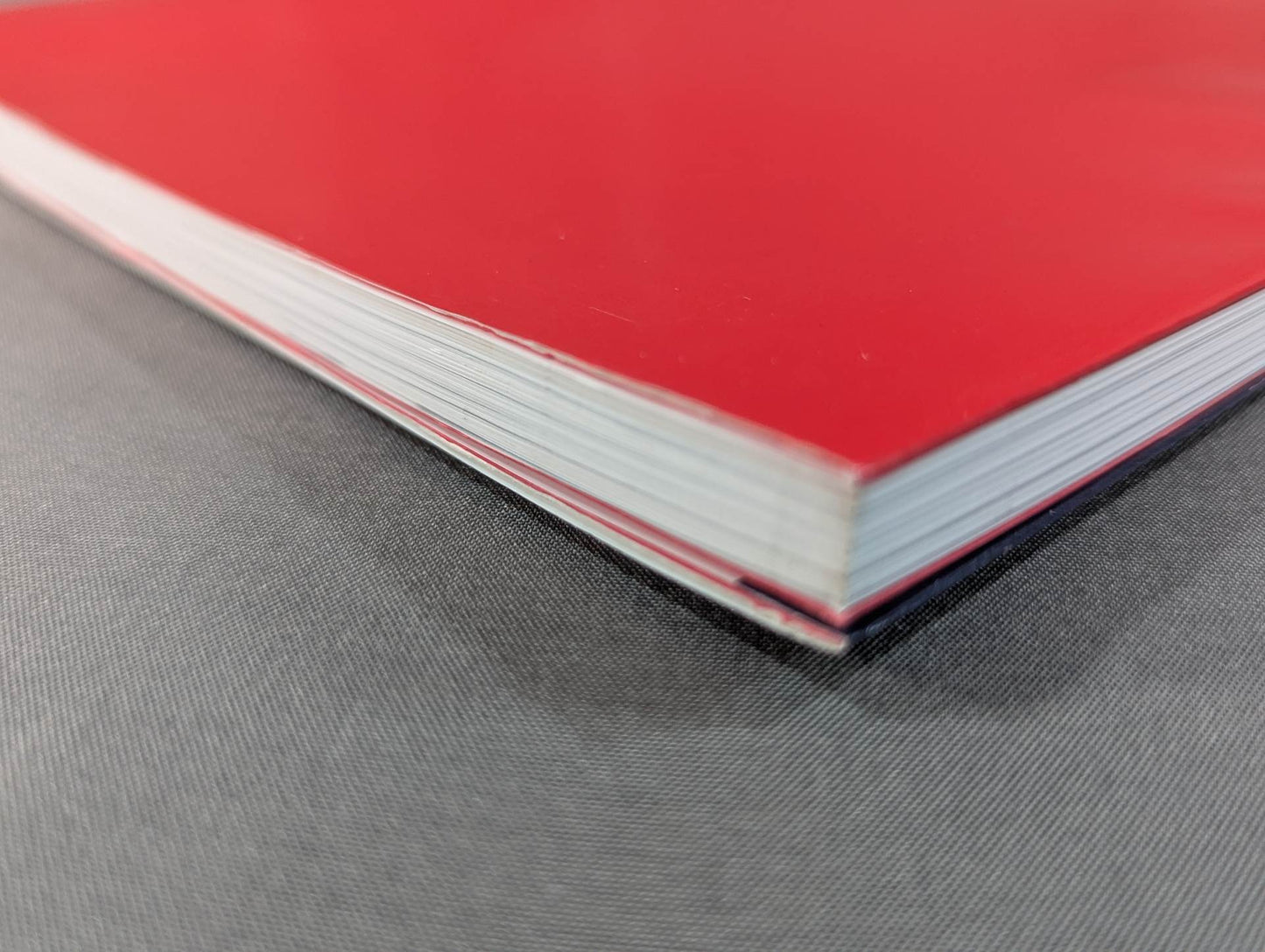 長谷川一幸師範の極真の理と技