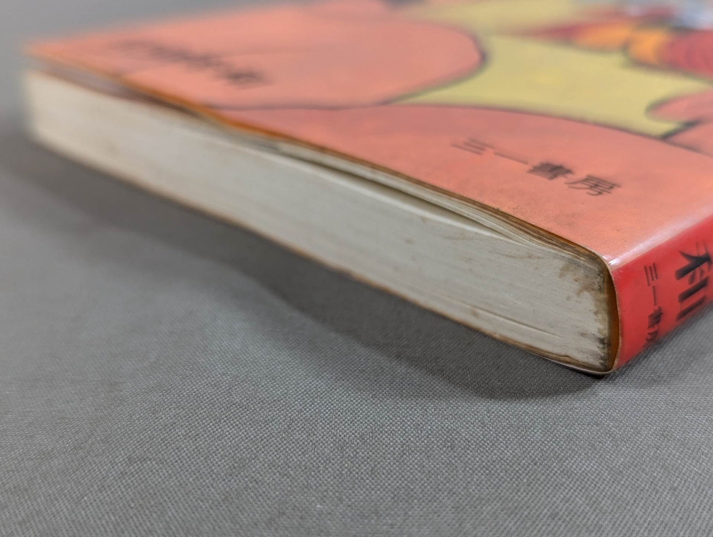Kero's Pro Wrestling A Thousand and One Nights New Japan Pro Wrestling Travel Diary and Special Appendix <Overseas Edition>