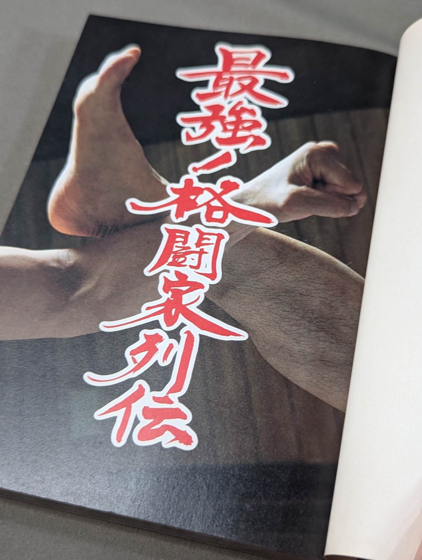 ケイブンシャの大百科別冊 最強!格闘家列伝