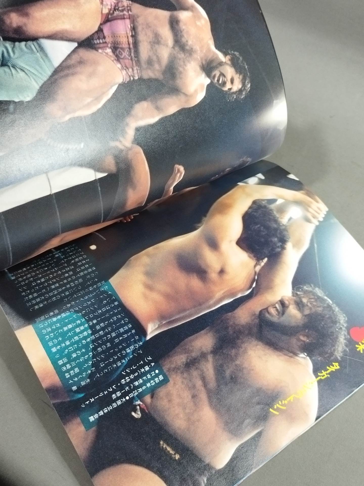 Pro Wrestling Warriors who bet romance on the ring
