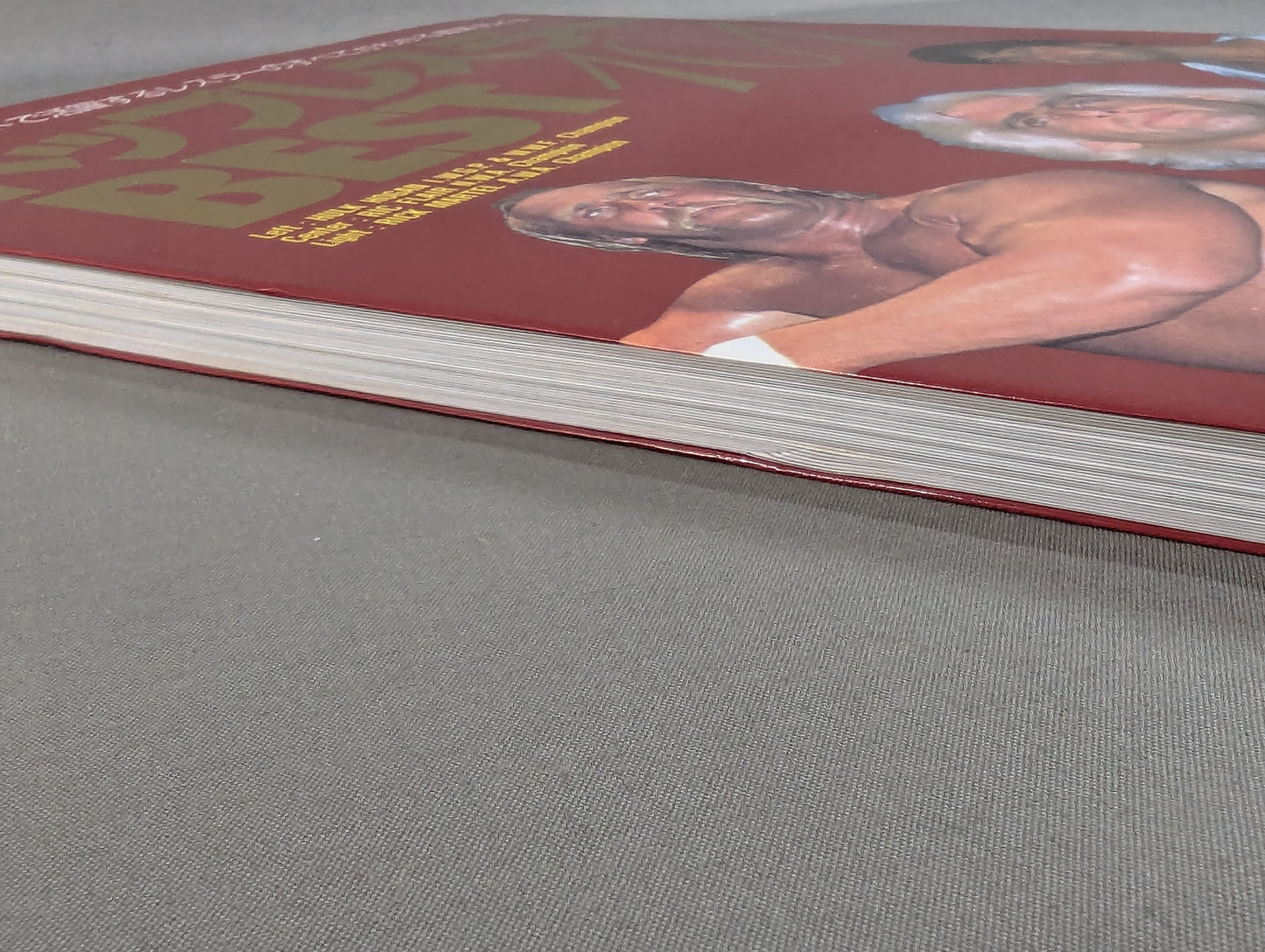 The Top Wrestler BEST101 The latest guide to all the wrestlers on the mat around the world