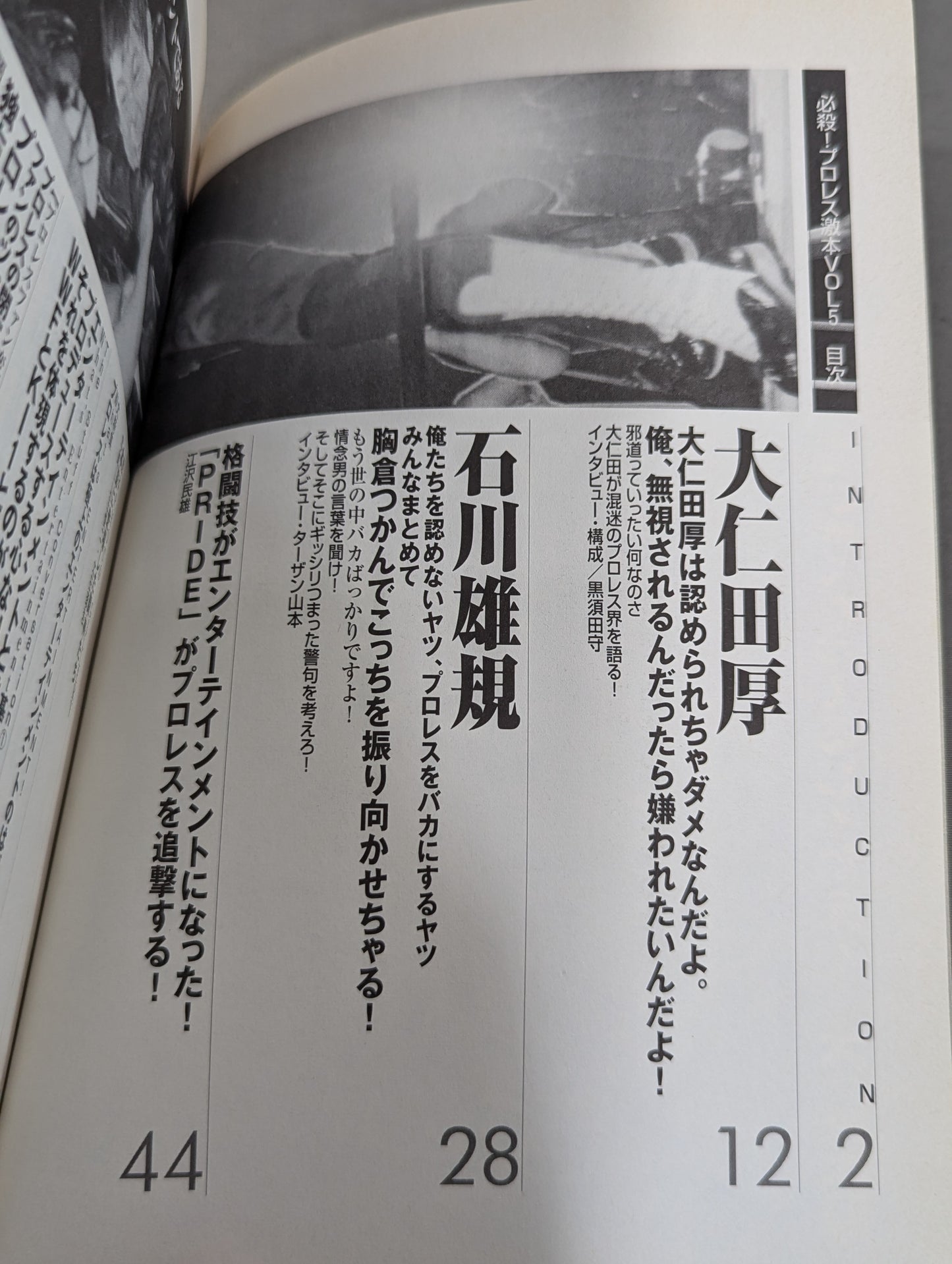 必殺!プロレス激本5 プロレスよ、もっと俺たちを楽しませてくれ!