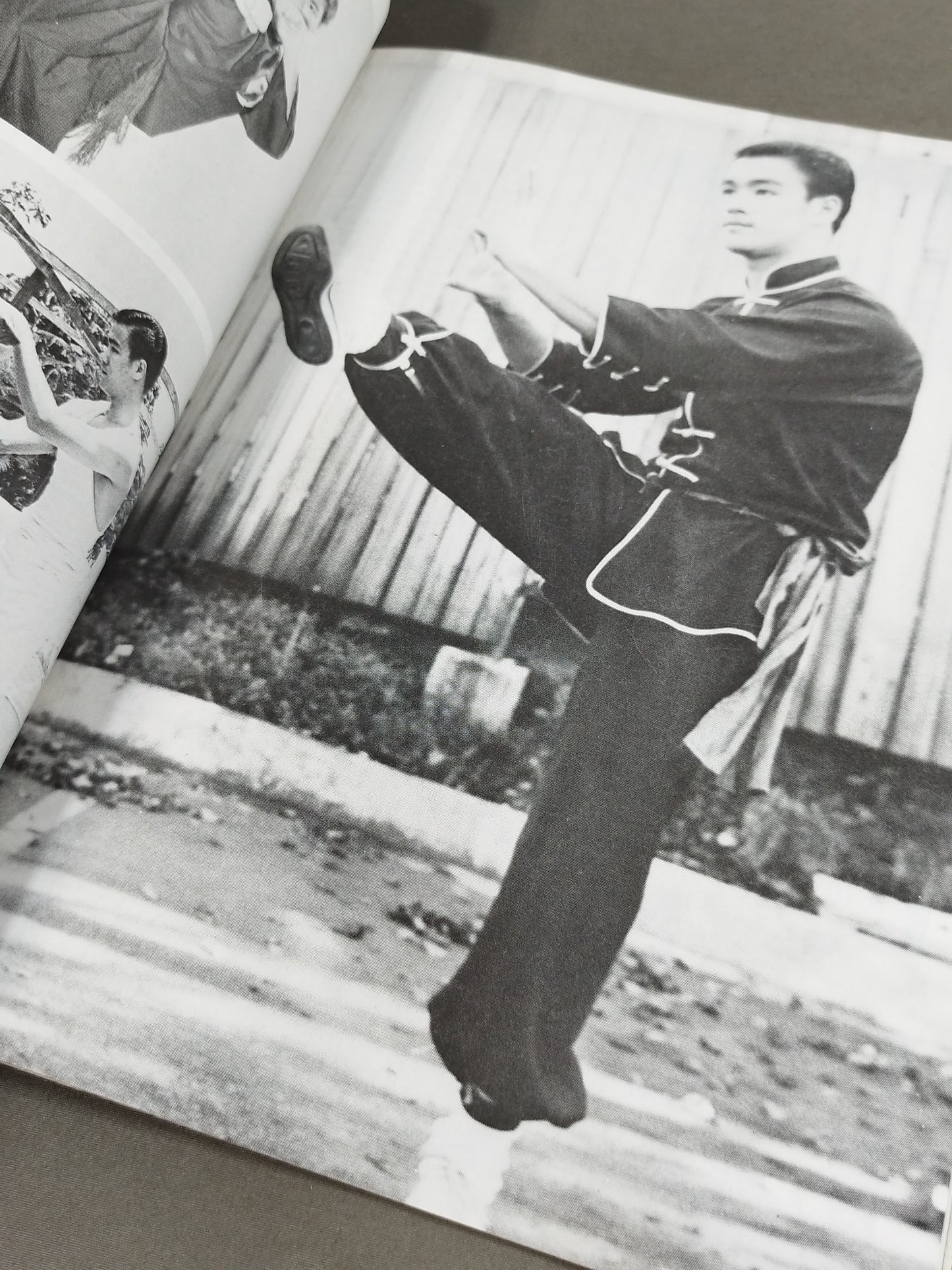 BRUCE LEE The Untold Story