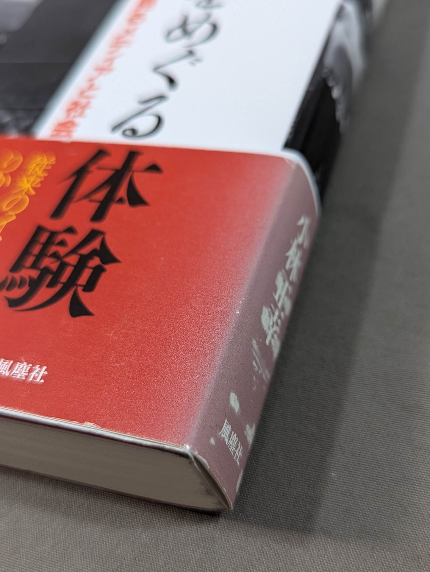 Rikidozan experience with Pro Wrestling Media and society seen from the perspective