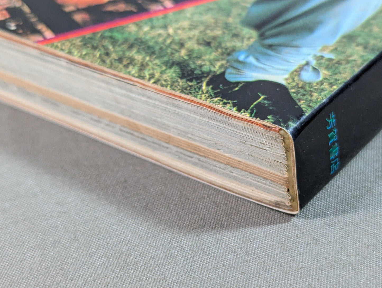 KUNG FU! The Complete Works of Dragons from Bruce Lee to Jackie Chan