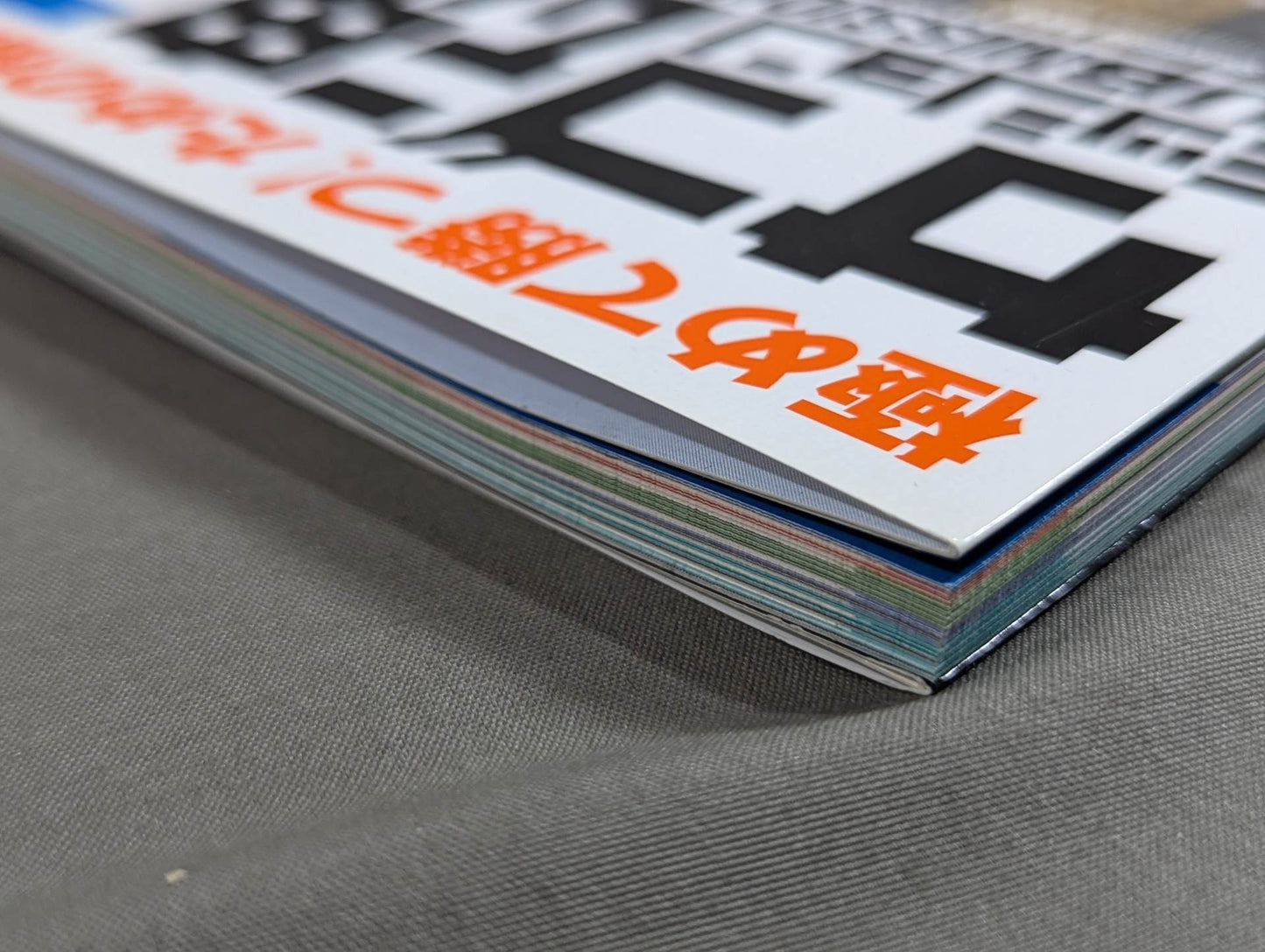 【DVD付】極めて勝つ!ための格闘DVDマガジン サブミッション魂2