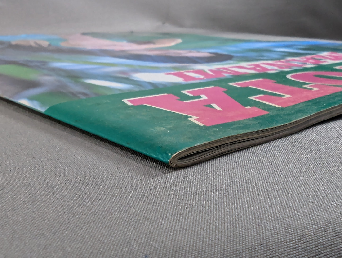 TOYOTA MANAMI / YAMADA TOSHIYO 写真集