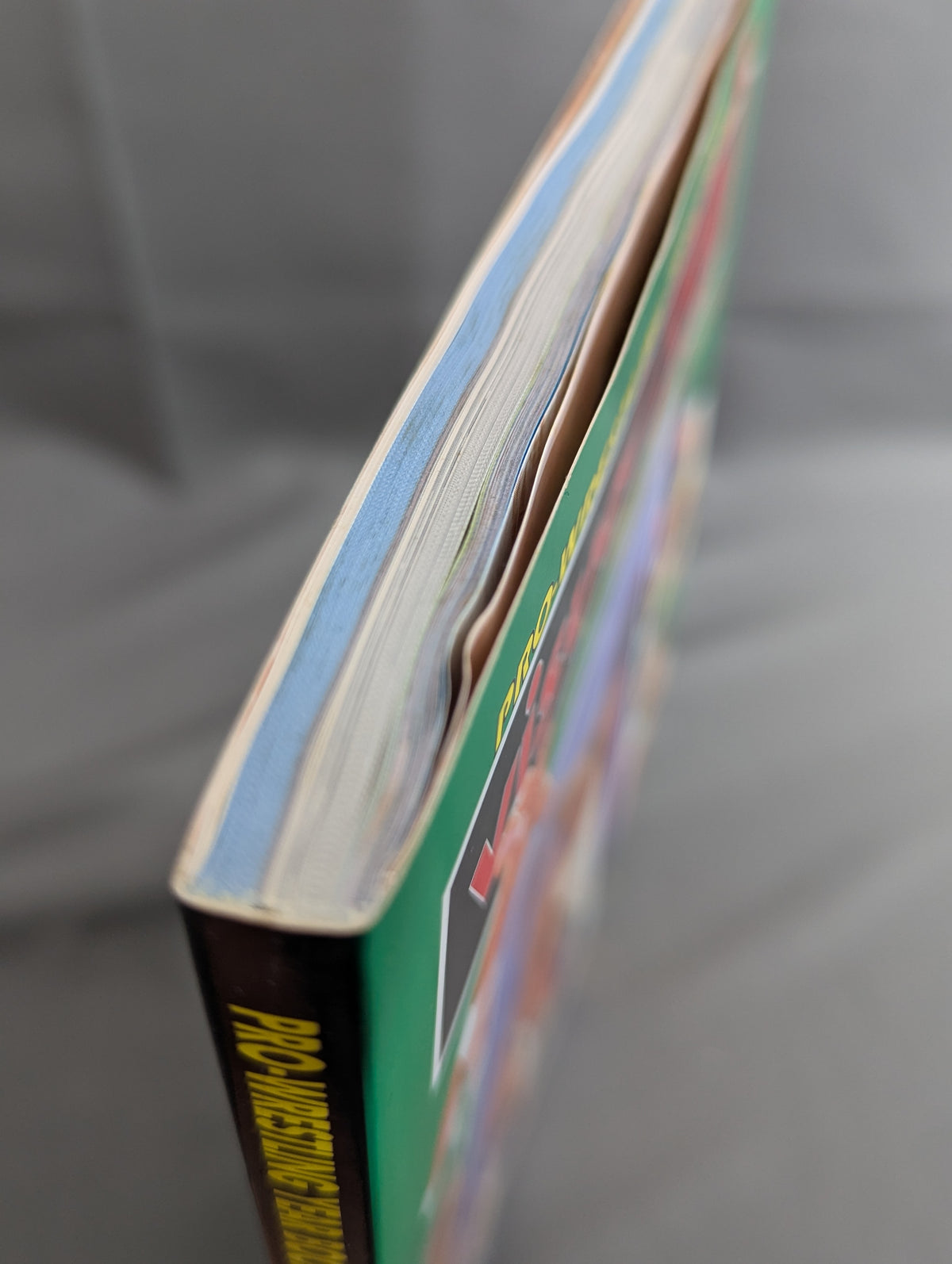 PRO-WRESTLING YEAR BOOK Visual2001 / プロレス年表2001 完全保存版 事件の証言
