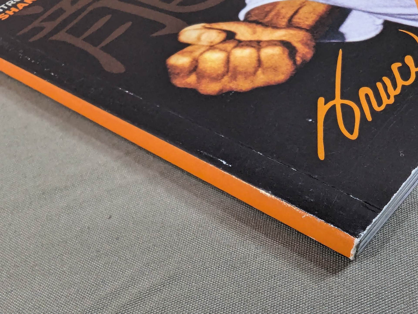 OFFICIAL COLLECTOR’S EDITION BRUCE LEE VOL.6