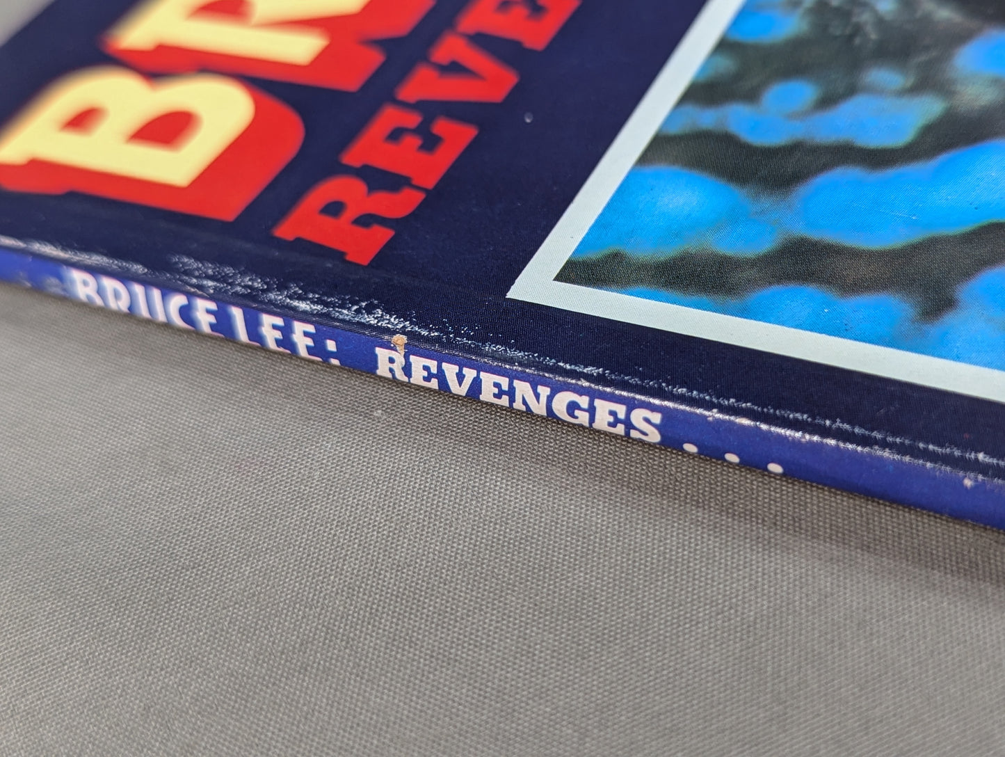 BRUCE LEE REVENGES...