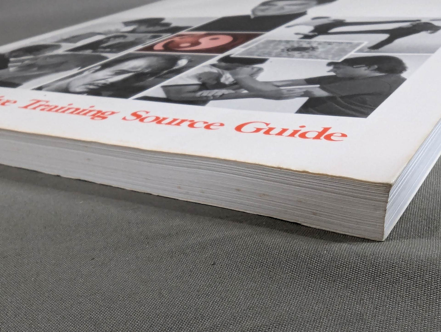 Jun Fan / Jeet Kune Do THE TEXTBOOK