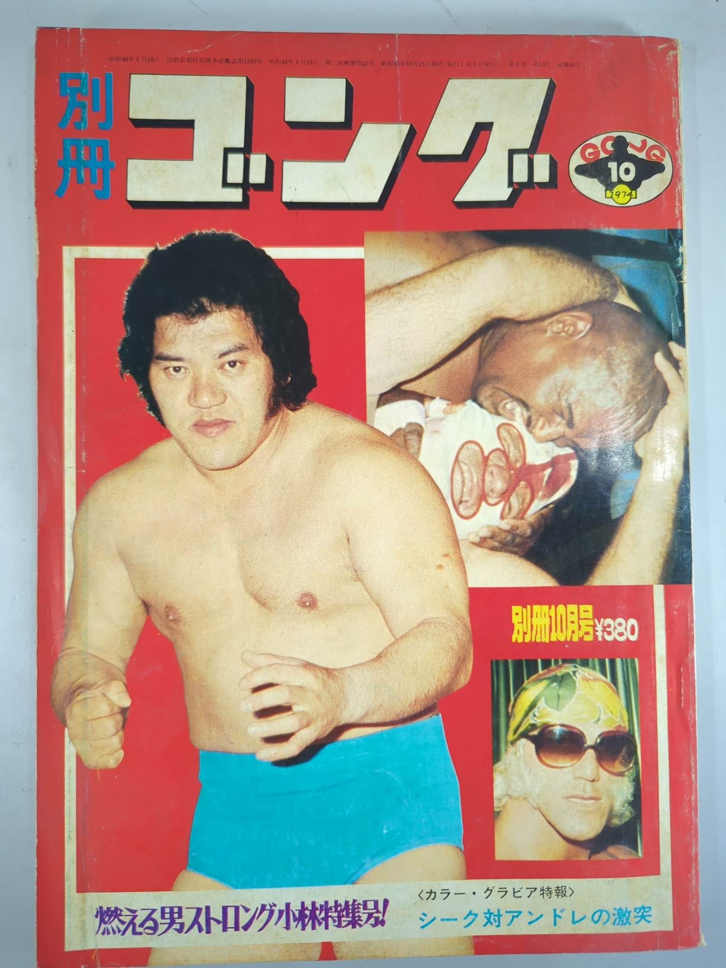 別冊ゴングVol.6 No.10