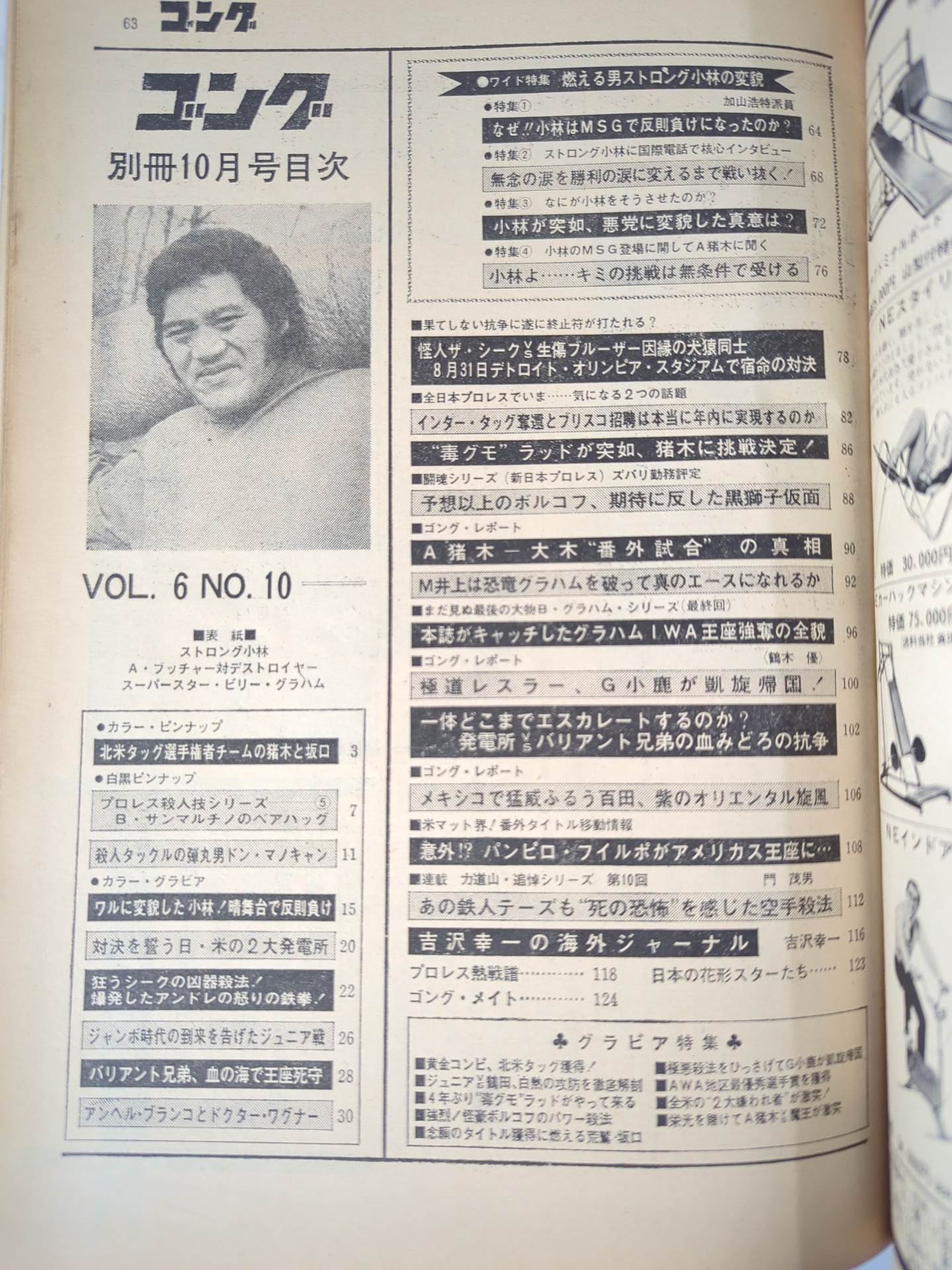 別冊ゴングVol.6 No.10