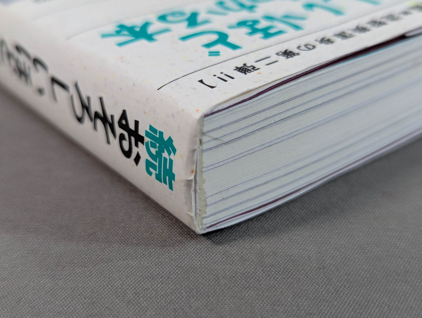 Continued: A book that shows Pro Wrestling terribly