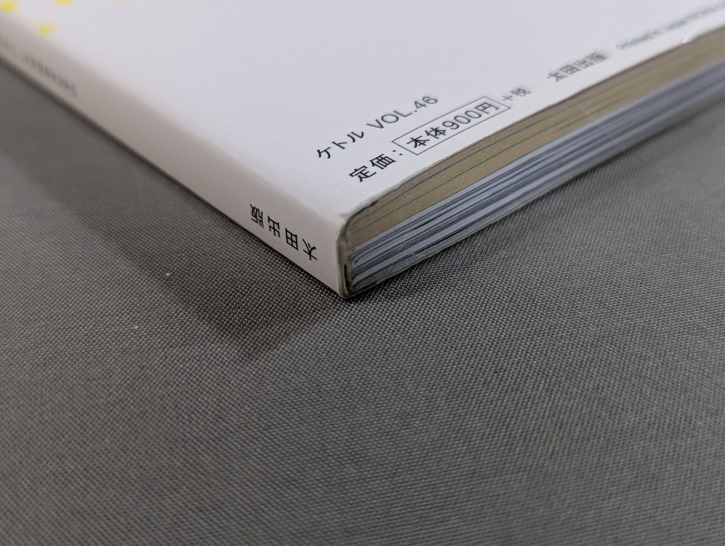 ケトル VOL.46「特集:新日本プロレスが大好き! 平成最後の夢の大舞台 東京ドーム大会に迫る!」