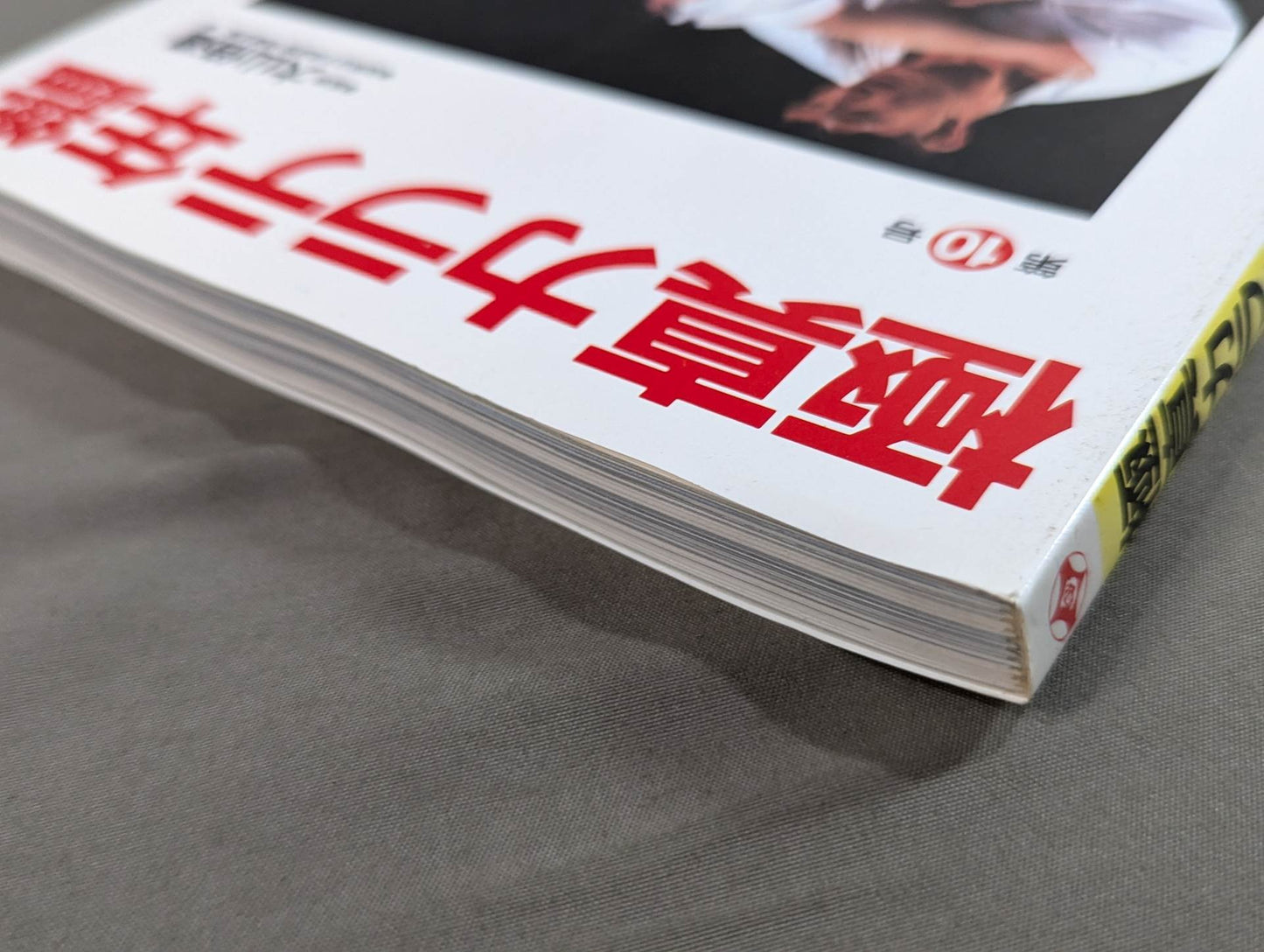 Kyokushin KARATE Yearbook No. 10 Kyokushin Spirit, Be Eternal
