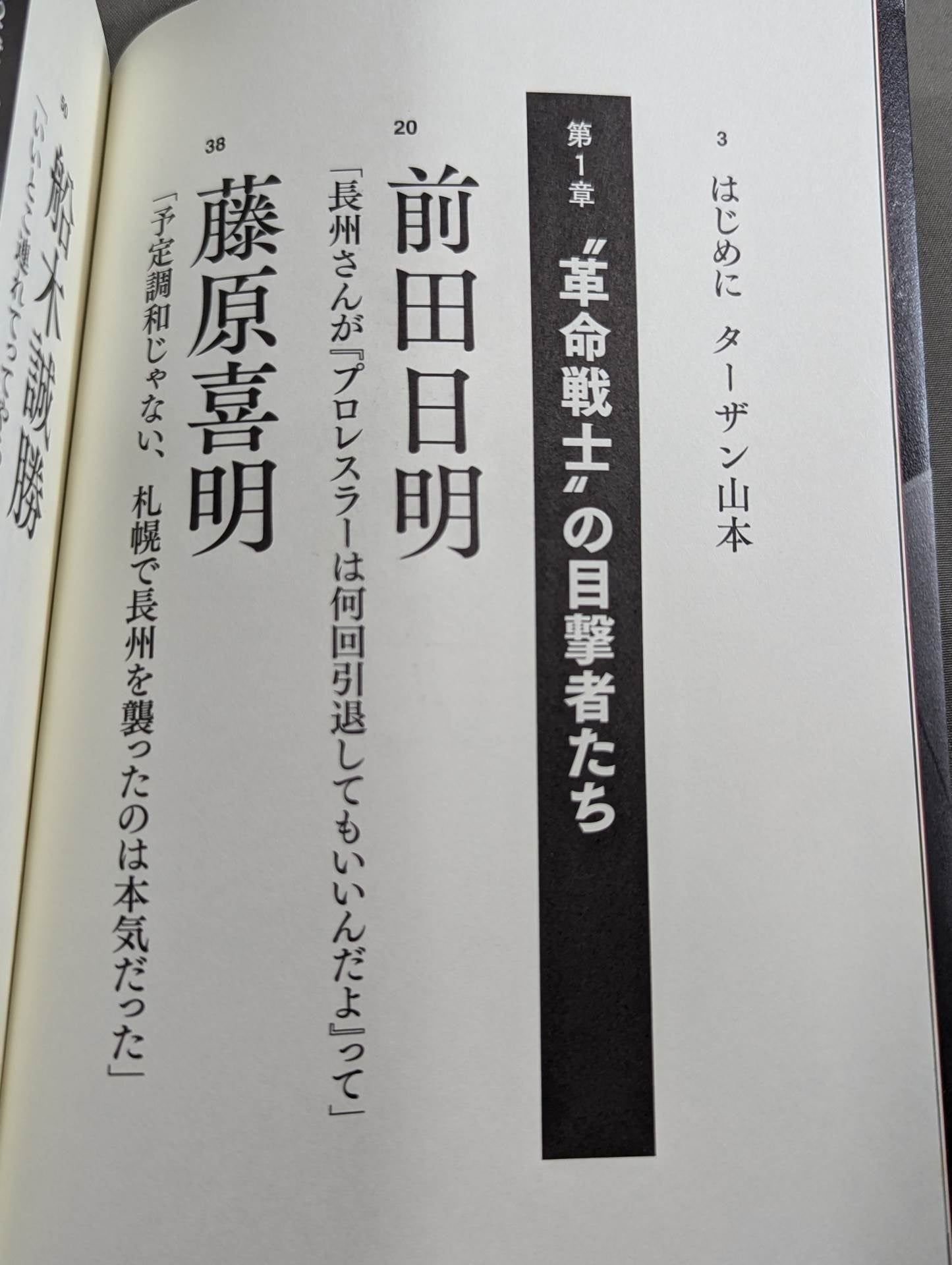 Testimony Riki Choshu "Revolutionary Warrior" Falsehood and Reality